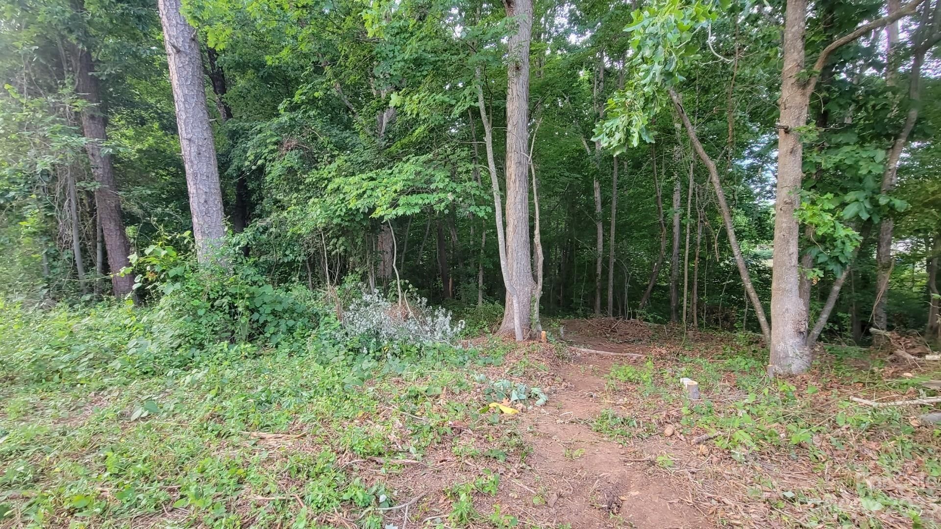 1.32 acres in Catawba County, North Carolina