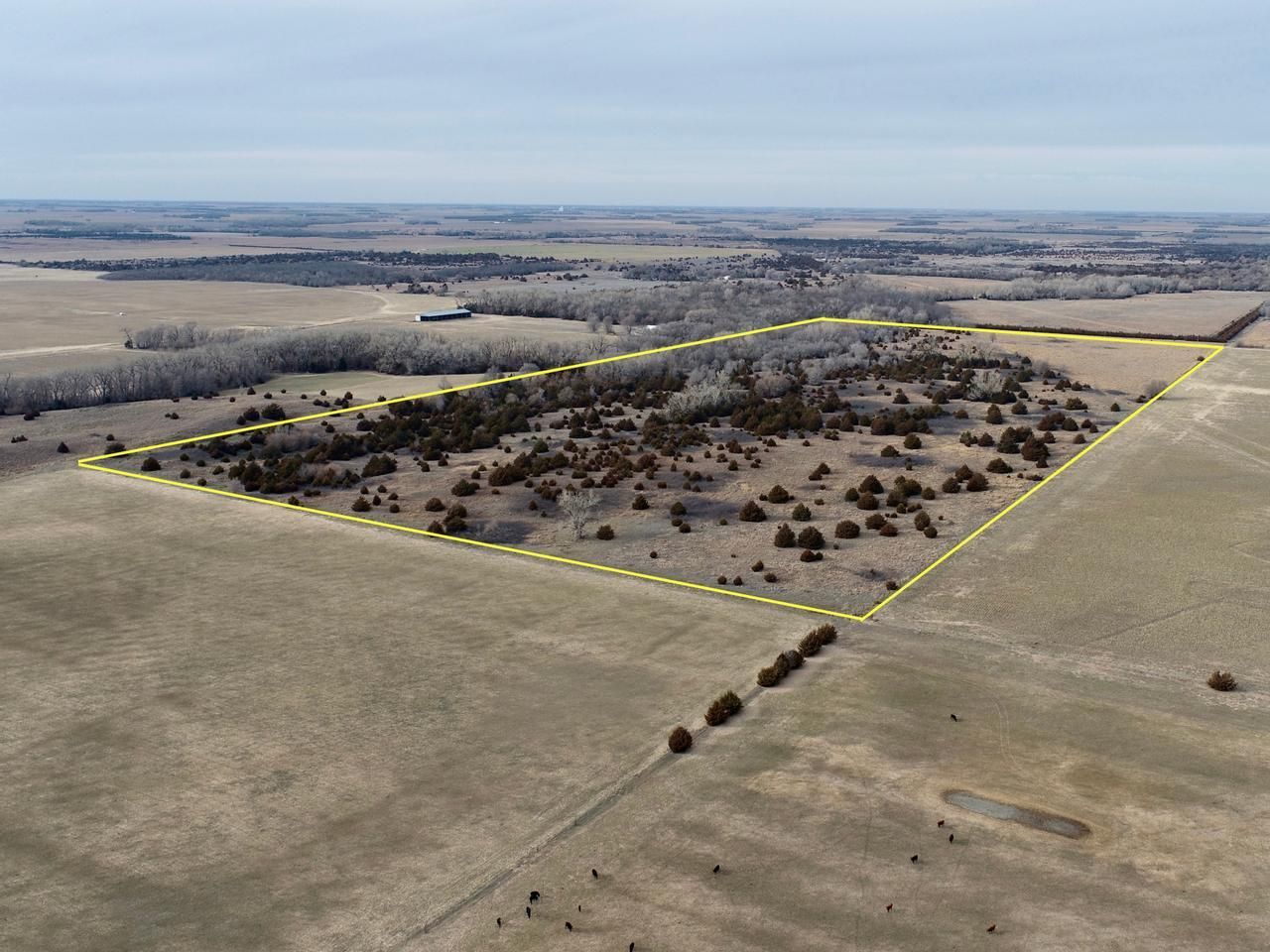 80 acres in Stafford County, Kansas