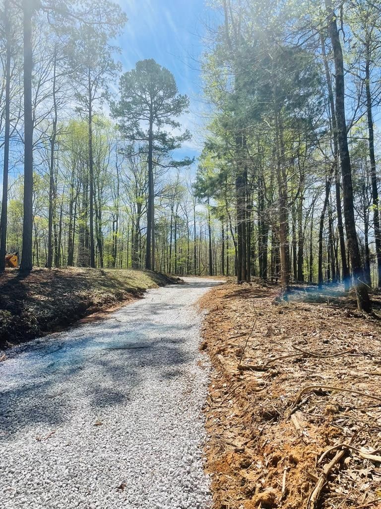 CR 284, Thaxton, MS 38871 MLS 152443