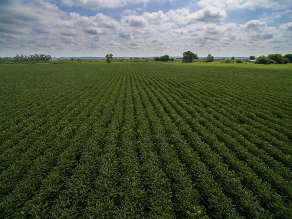 37 acres in Mills County, Iowa