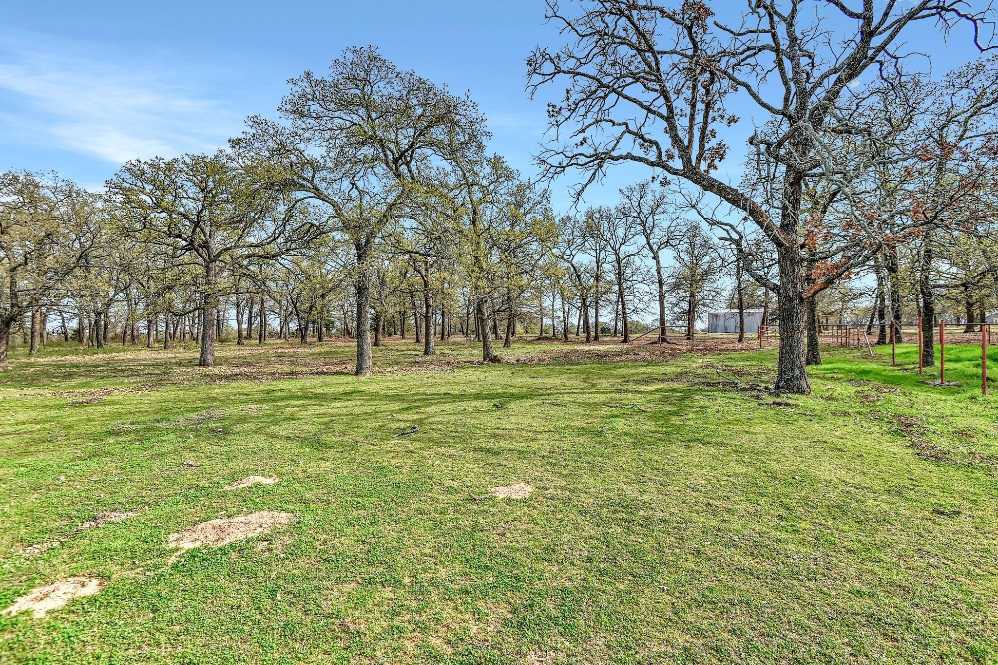 11.5 acres in Grayson County, Texas