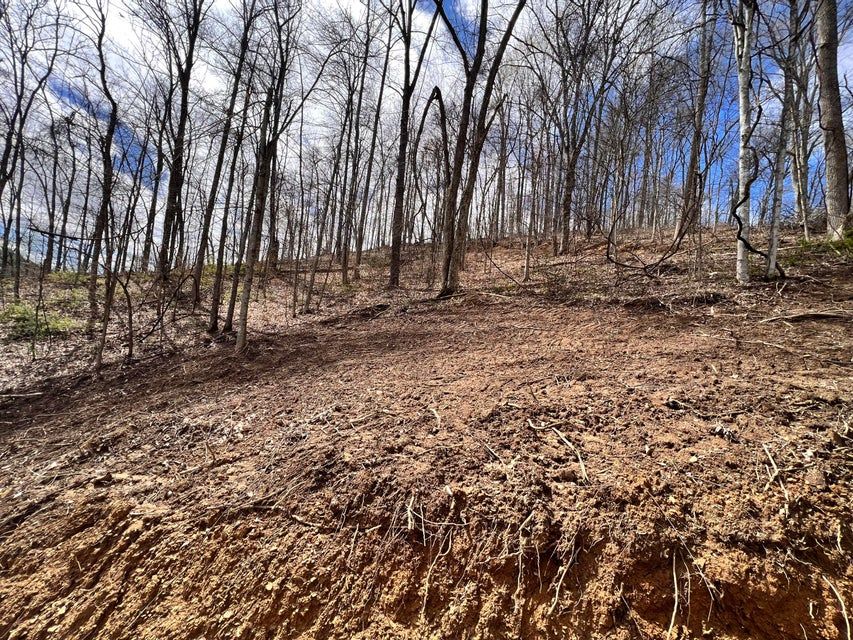 170 acres in Elliott County, Kentucky