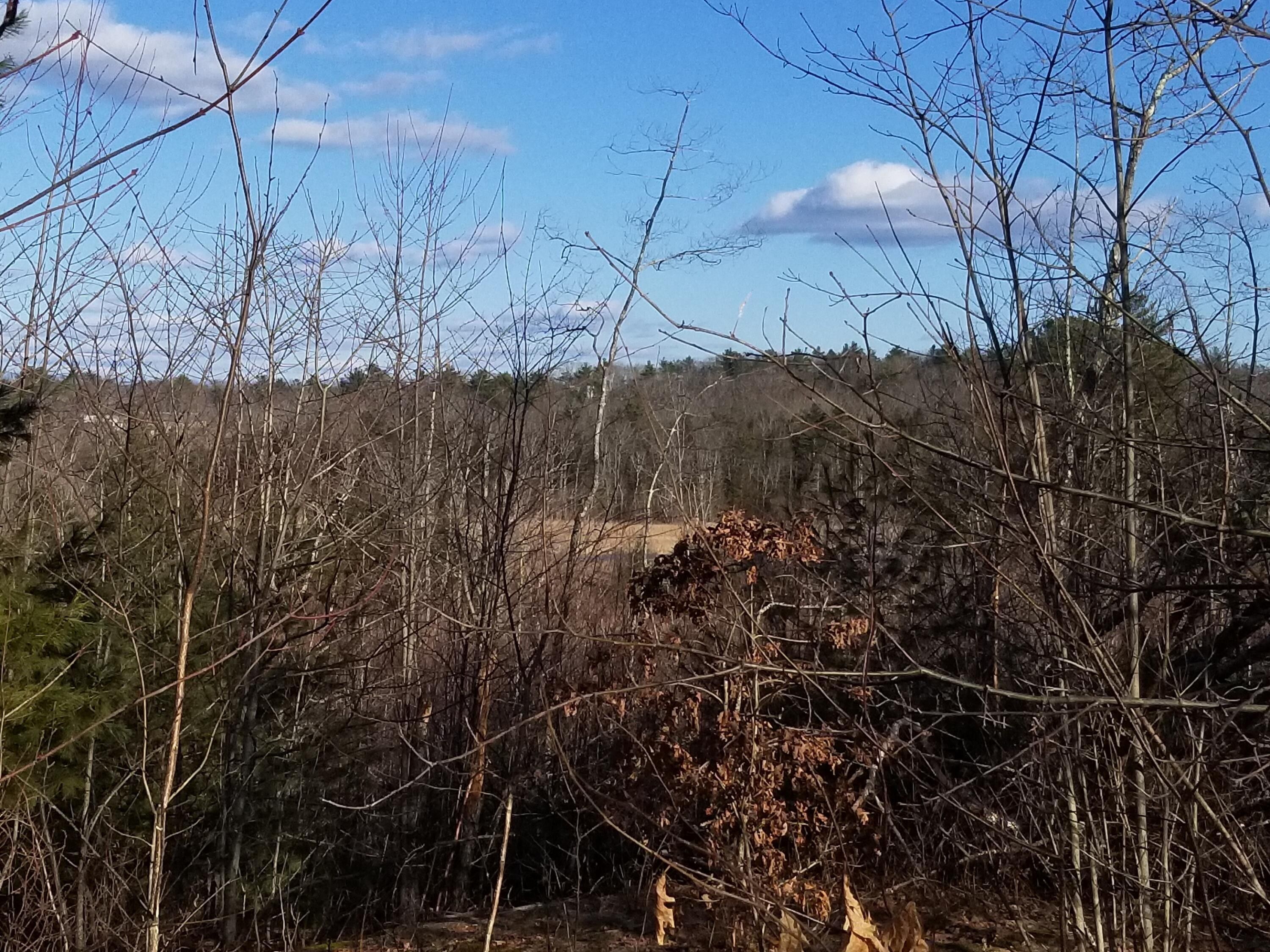 44 acres in Sagadahoc County, Maine