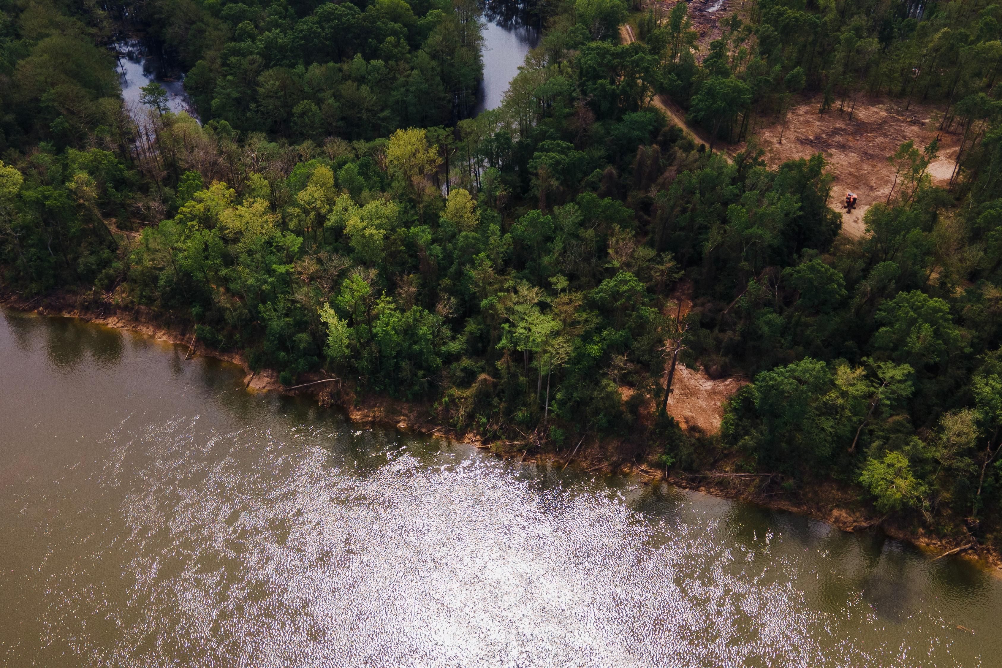 11 acres in Newton County, Texas