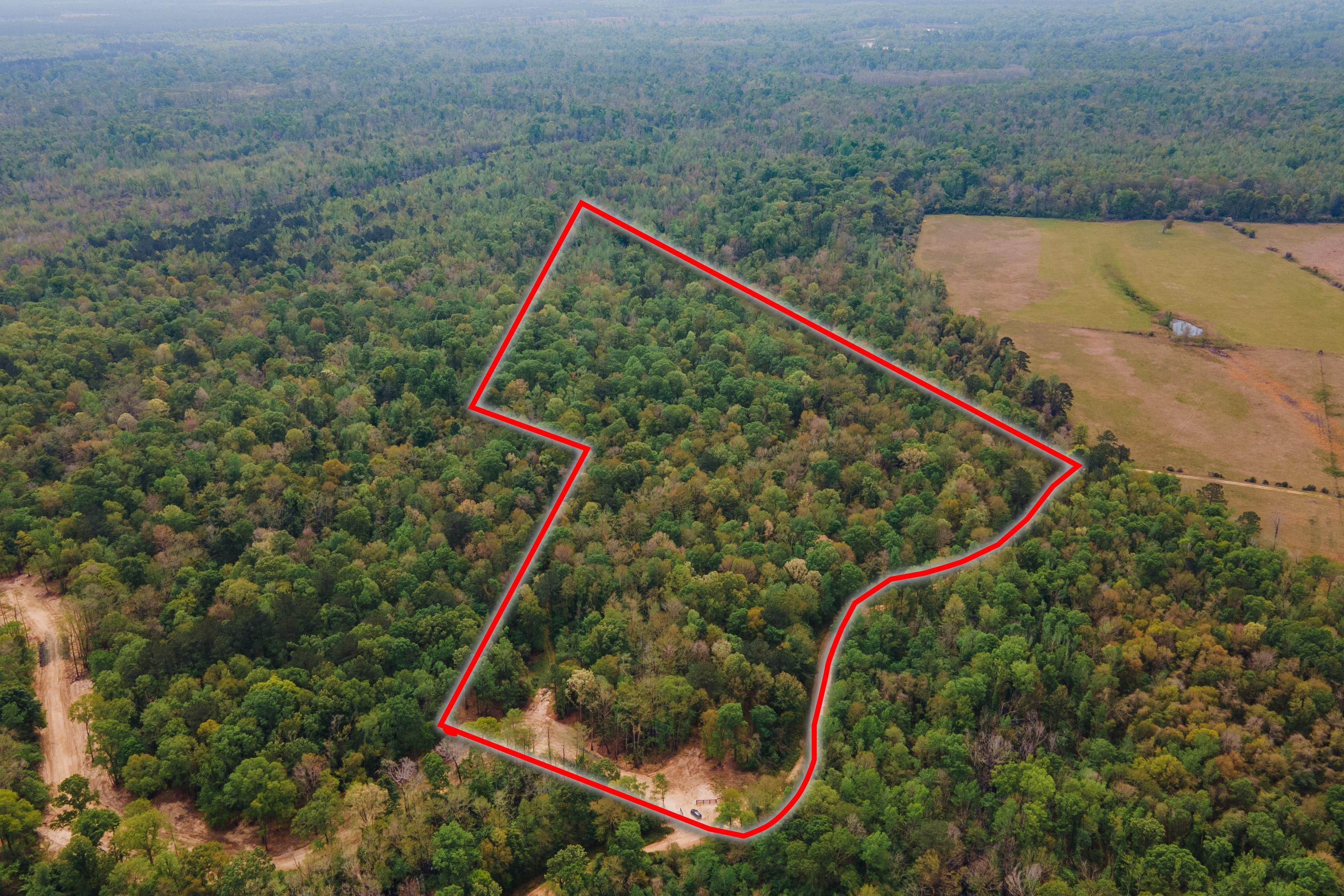 40 acres in Newton County, Texas