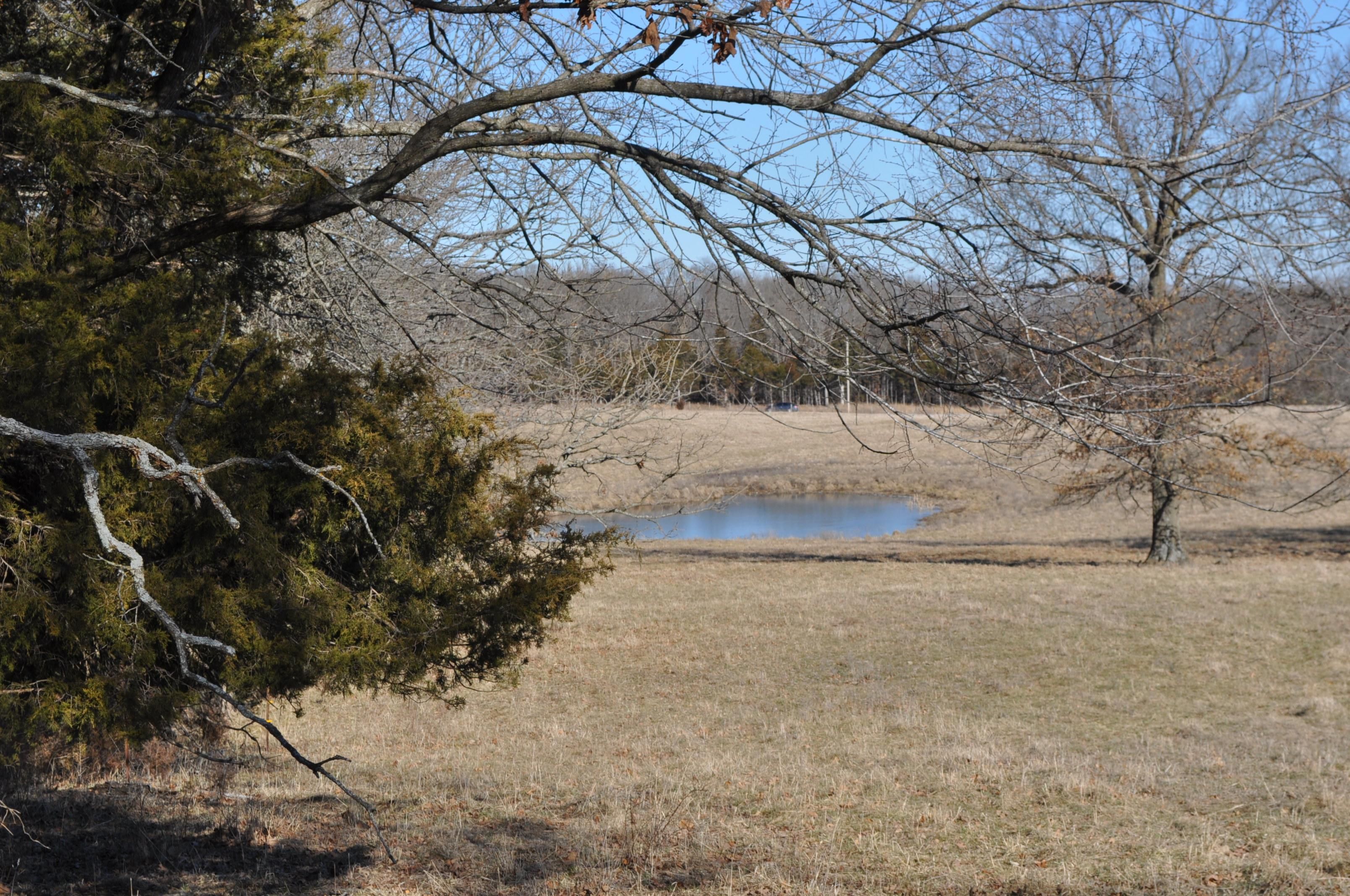 228 acres in Polk County, Missouri