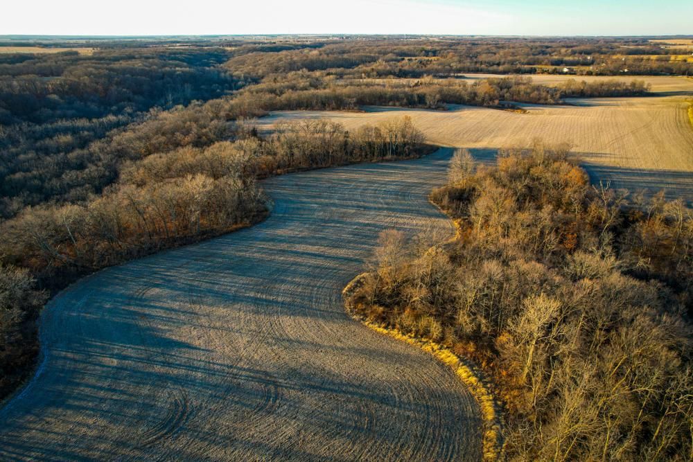 156 acres in Louisa County, Iowa