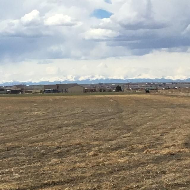 134.52 acres in Weld County, Colorado