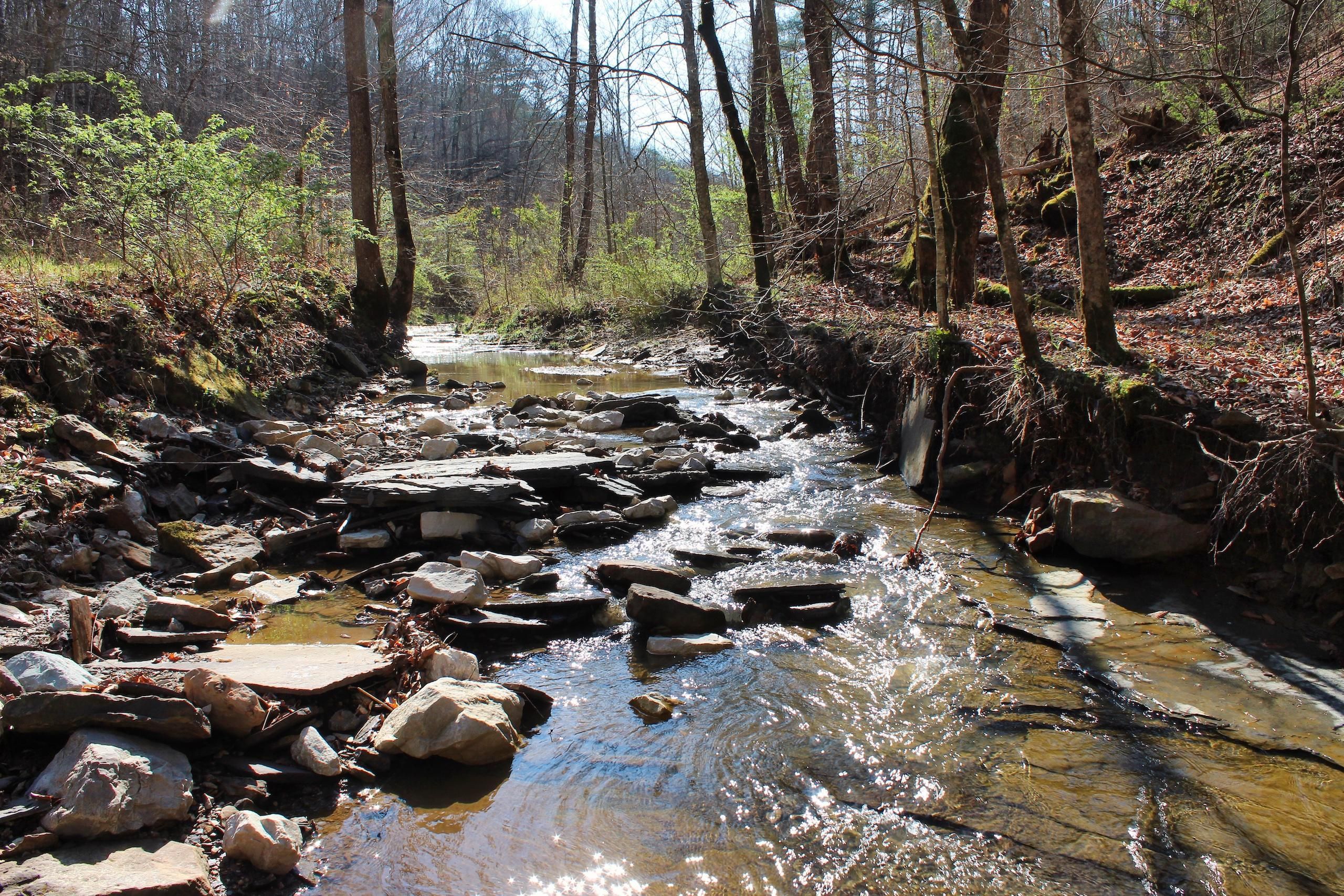 40 acres in Lee County, Kentucky