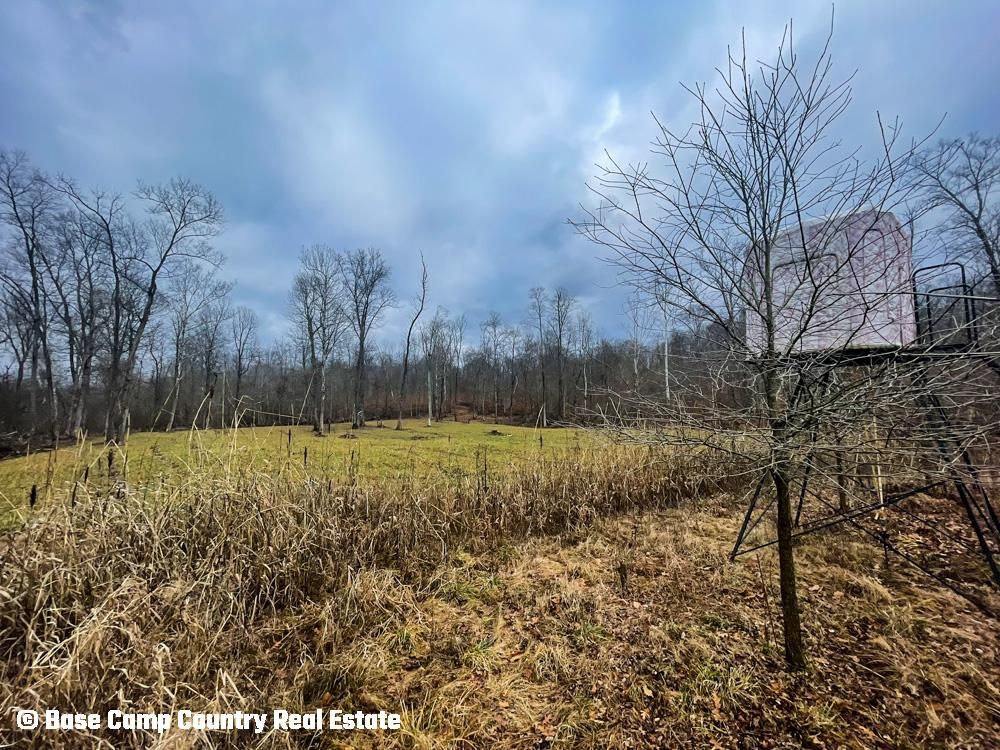 250 acres in Martin County, Indiana