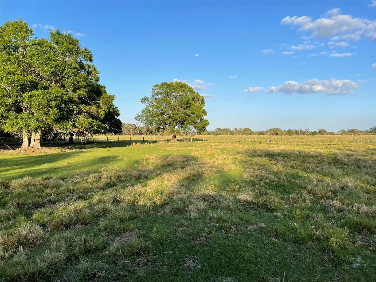 13.82 acres in DeSoto County, Florida