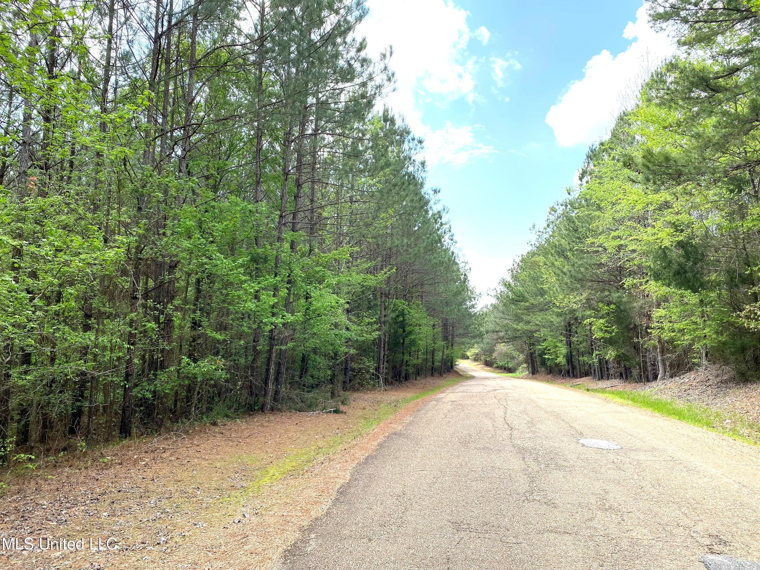 43 acres in Attala County, Mississippi