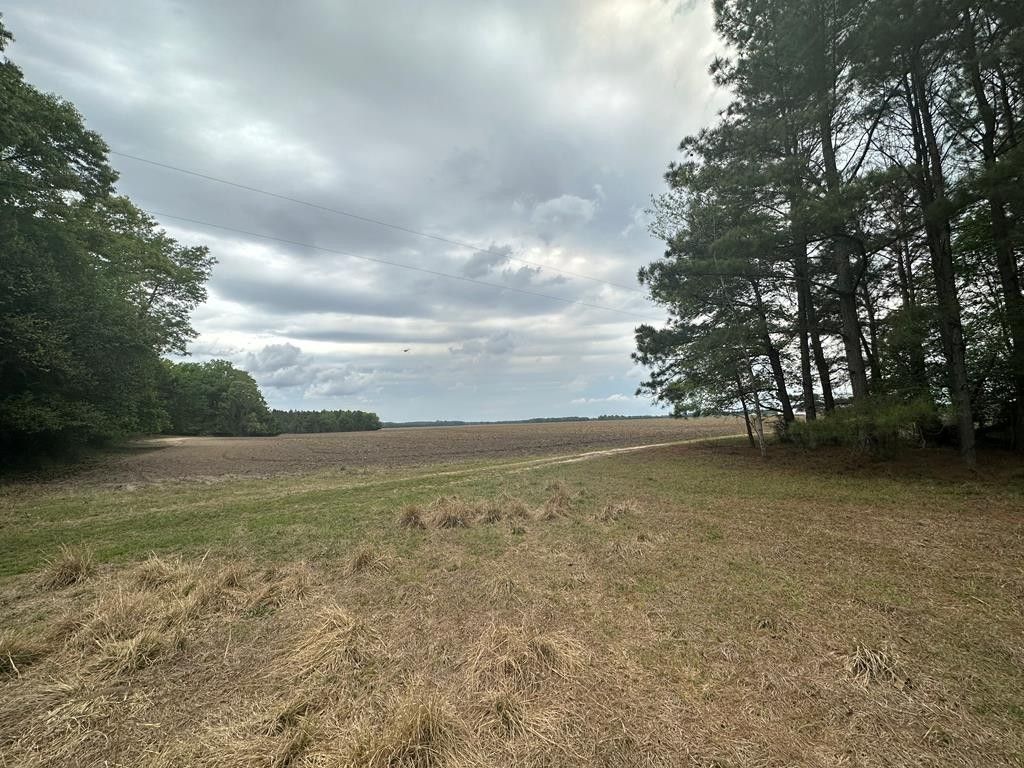 16 acres in Calhoun County, South Carolina