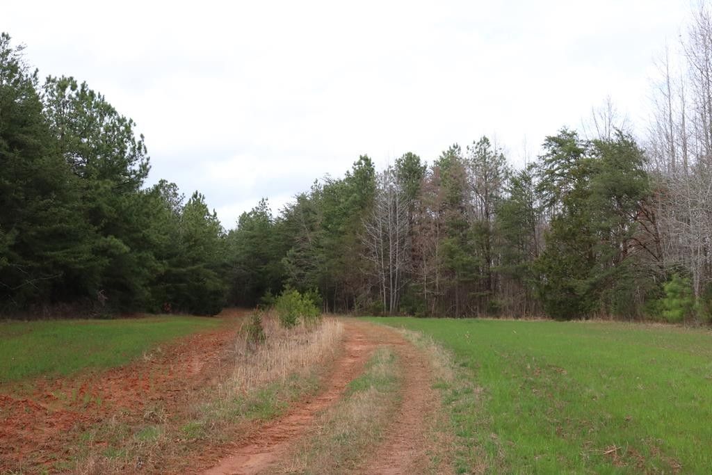 150.77 acres in Amelia County, Virginia
