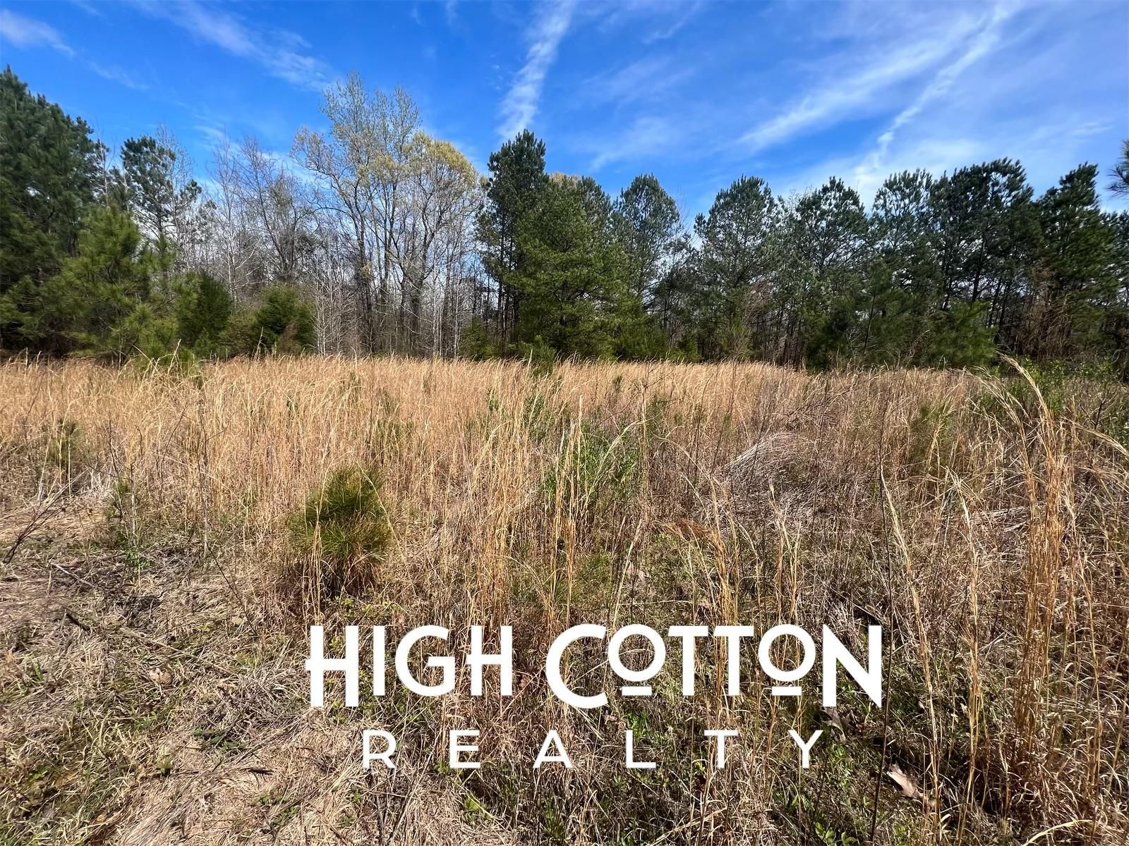 Highway 12, Durant, MS 39063