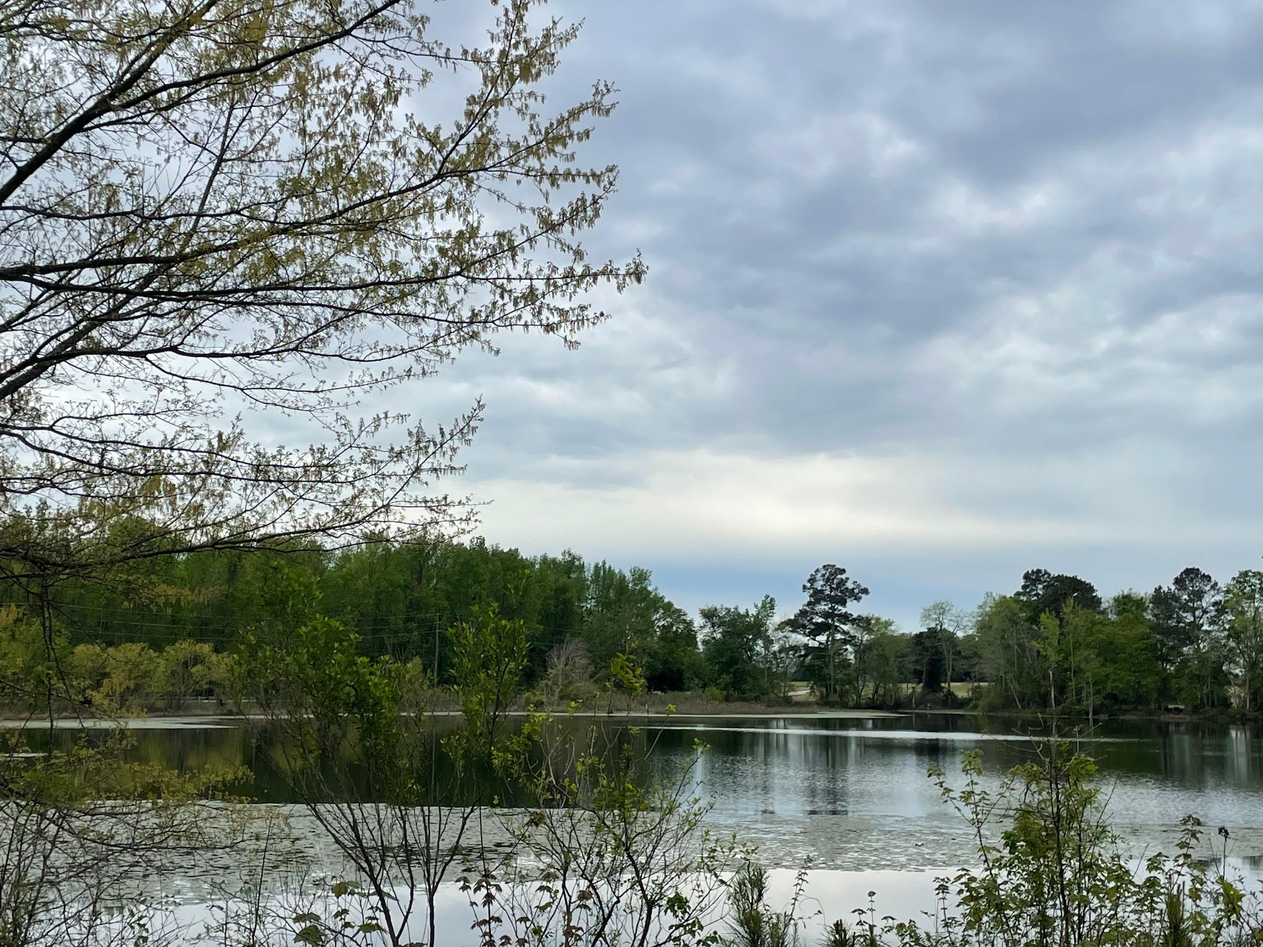 1040 Woodrow Road, SC 29010