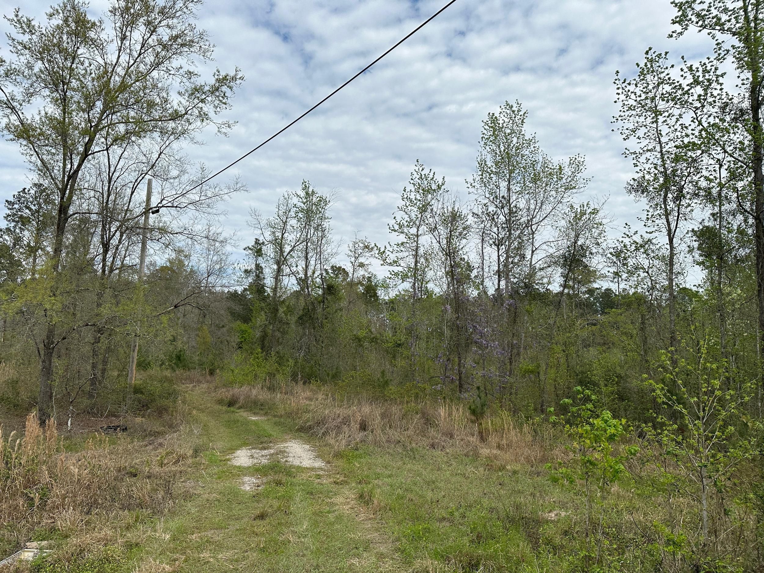 39 acres in Glynn County,