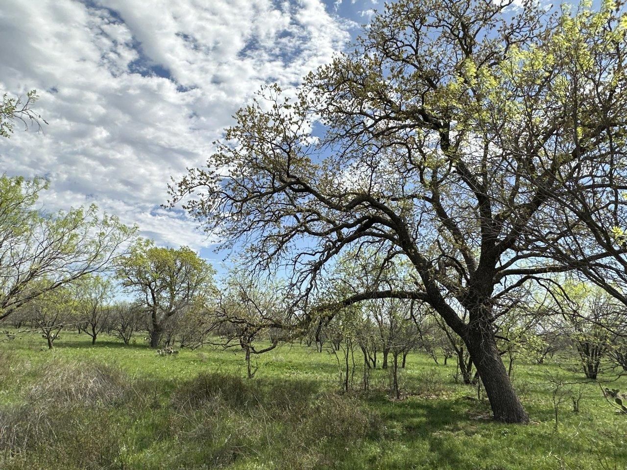 37 acres in Brown County, Texas