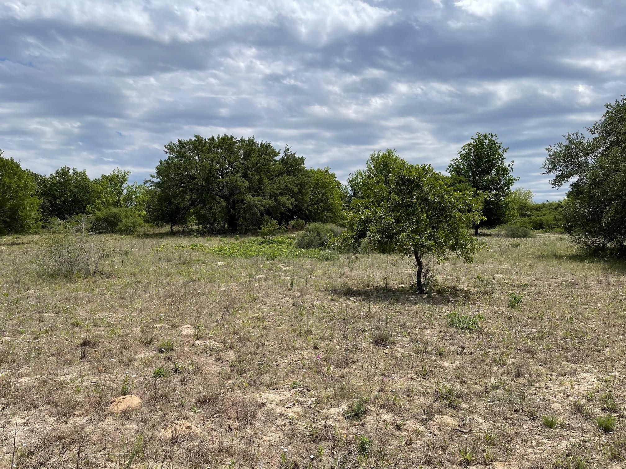 5 acres in Medina County, Texas