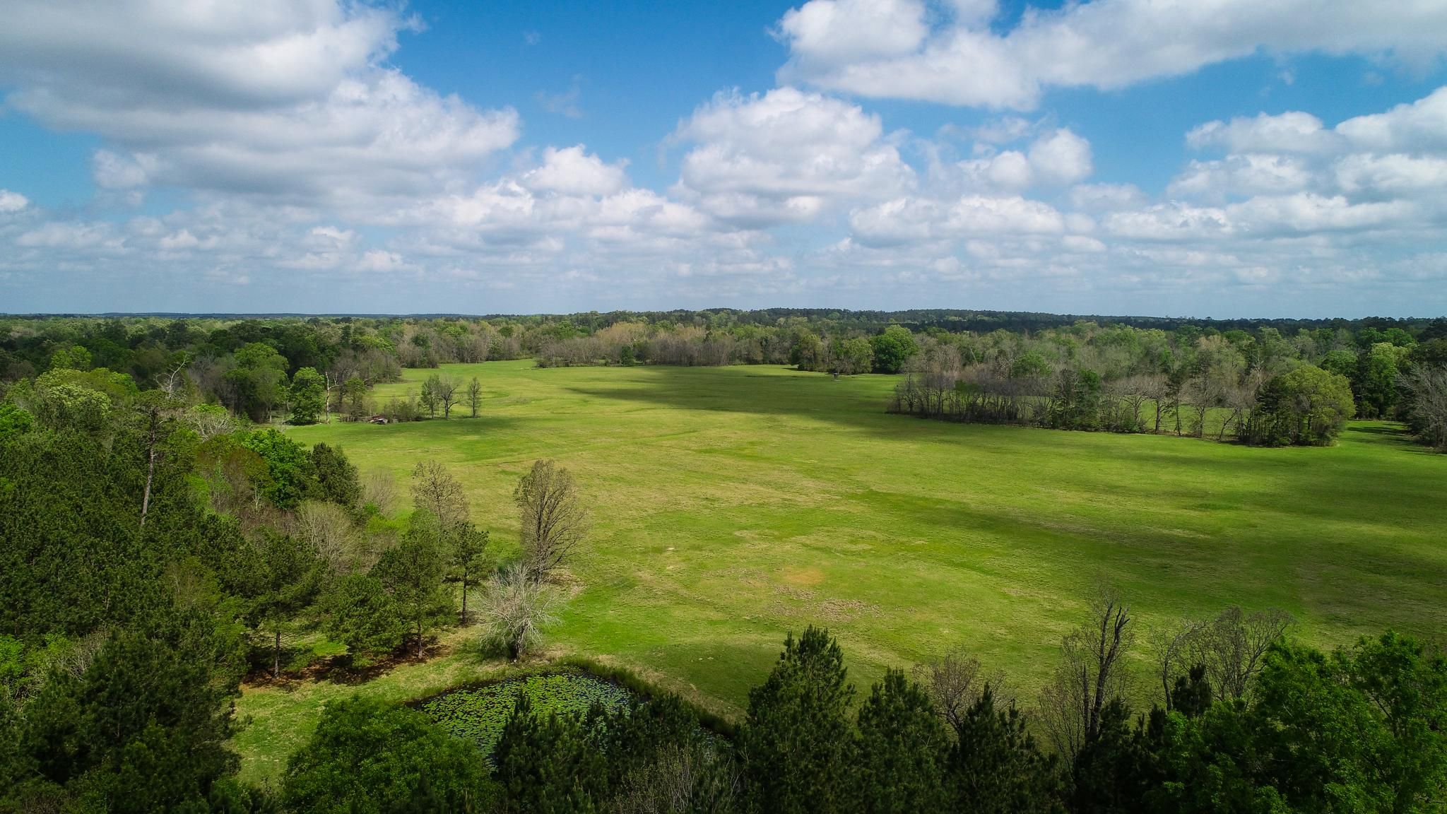 333 acres in Corrigan, TX, 75939 MLS 333+/ acres with beautiful hay