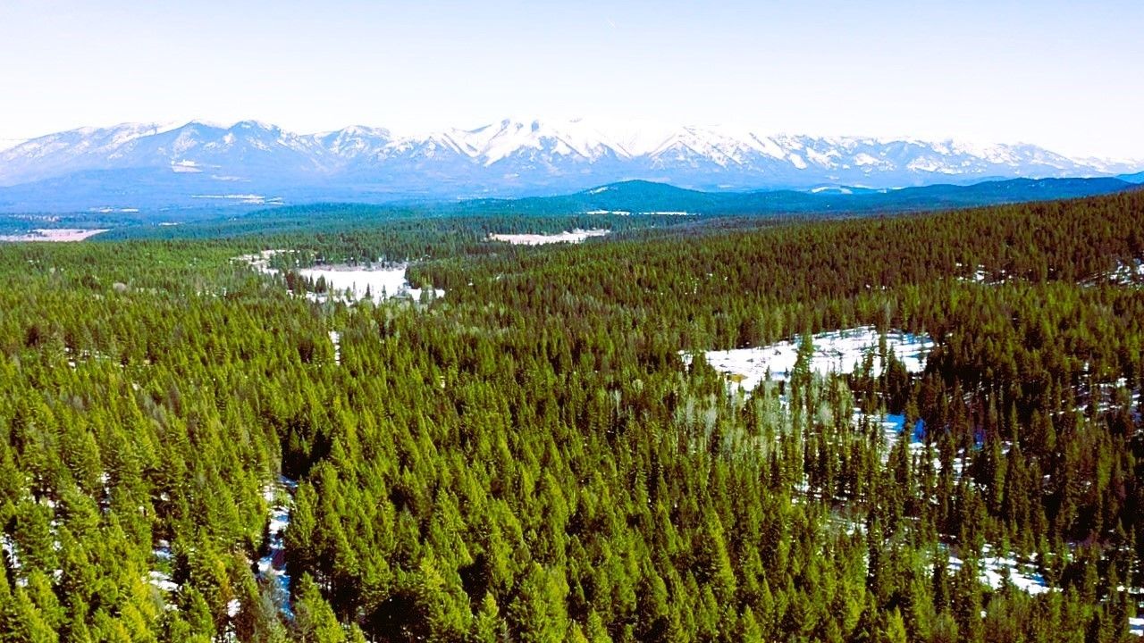 5 acres in Lincoln County, Montana