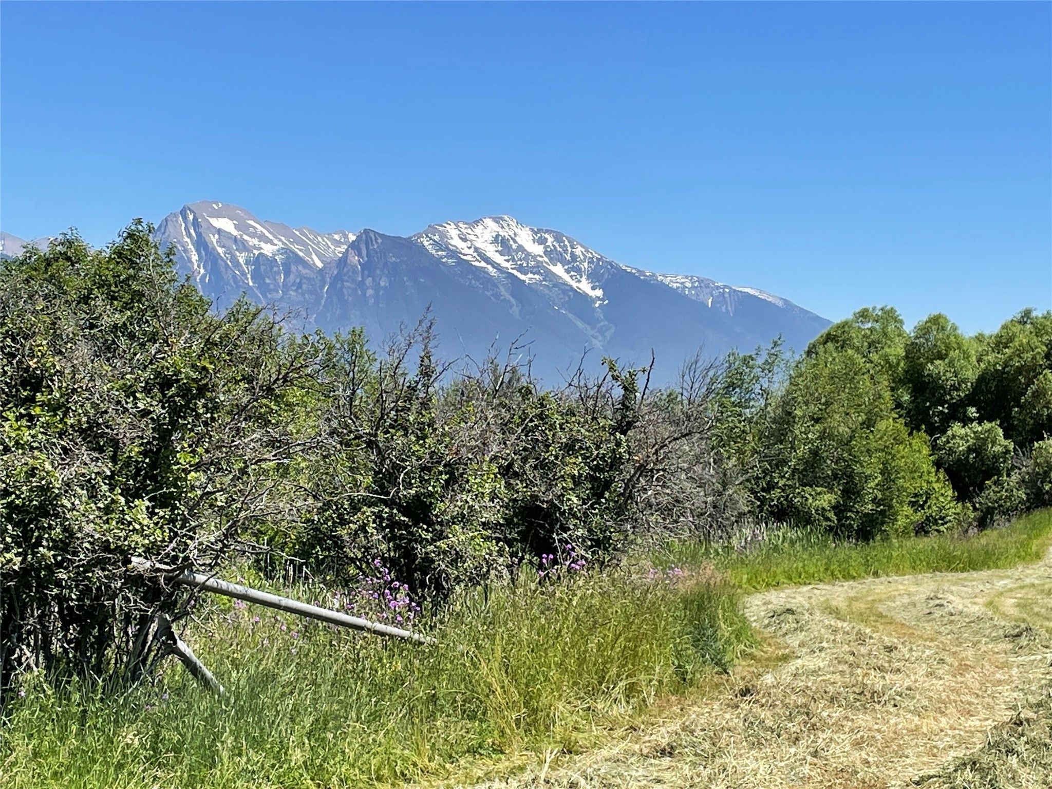 218.87 acres in Lake County, Montana