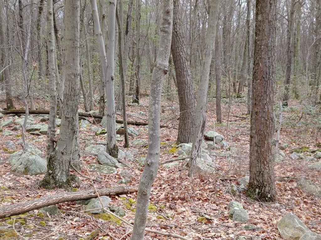 10 acres in Mifflin County, Pennsylvania