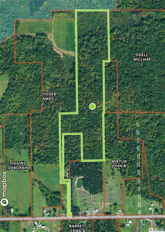 37.2 acres in Chautauqua County, New York