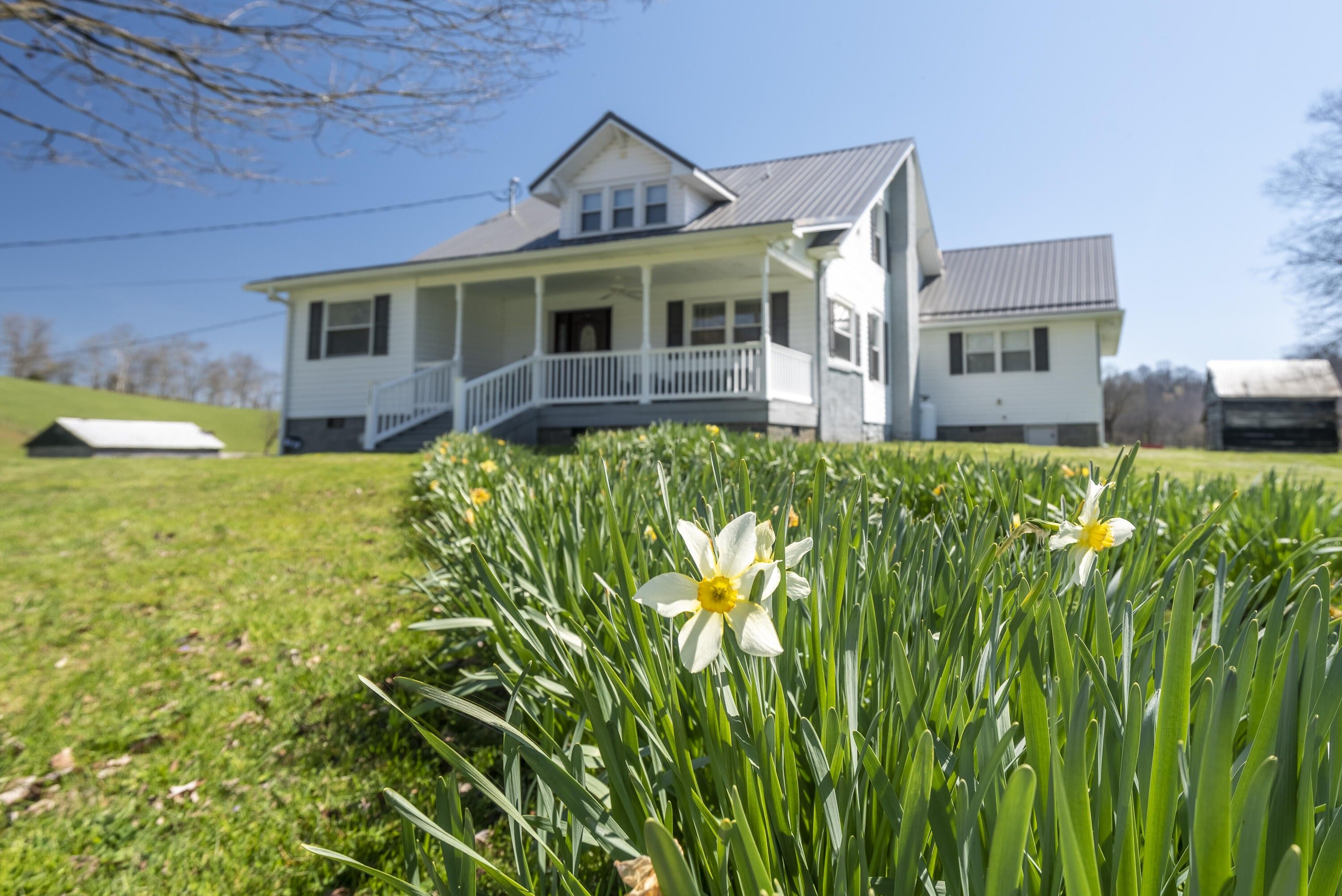 224.02 acres in Russell County, Virginia