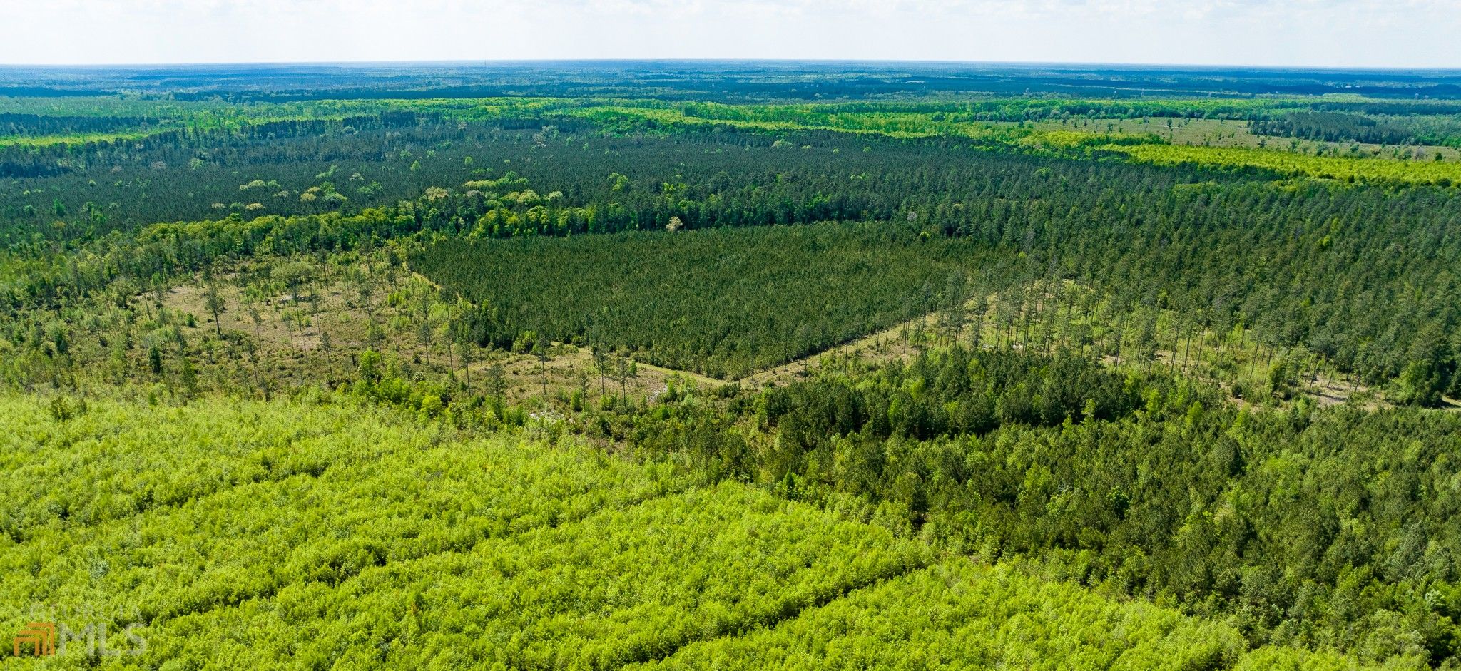 Agriculture Brunswick, GA