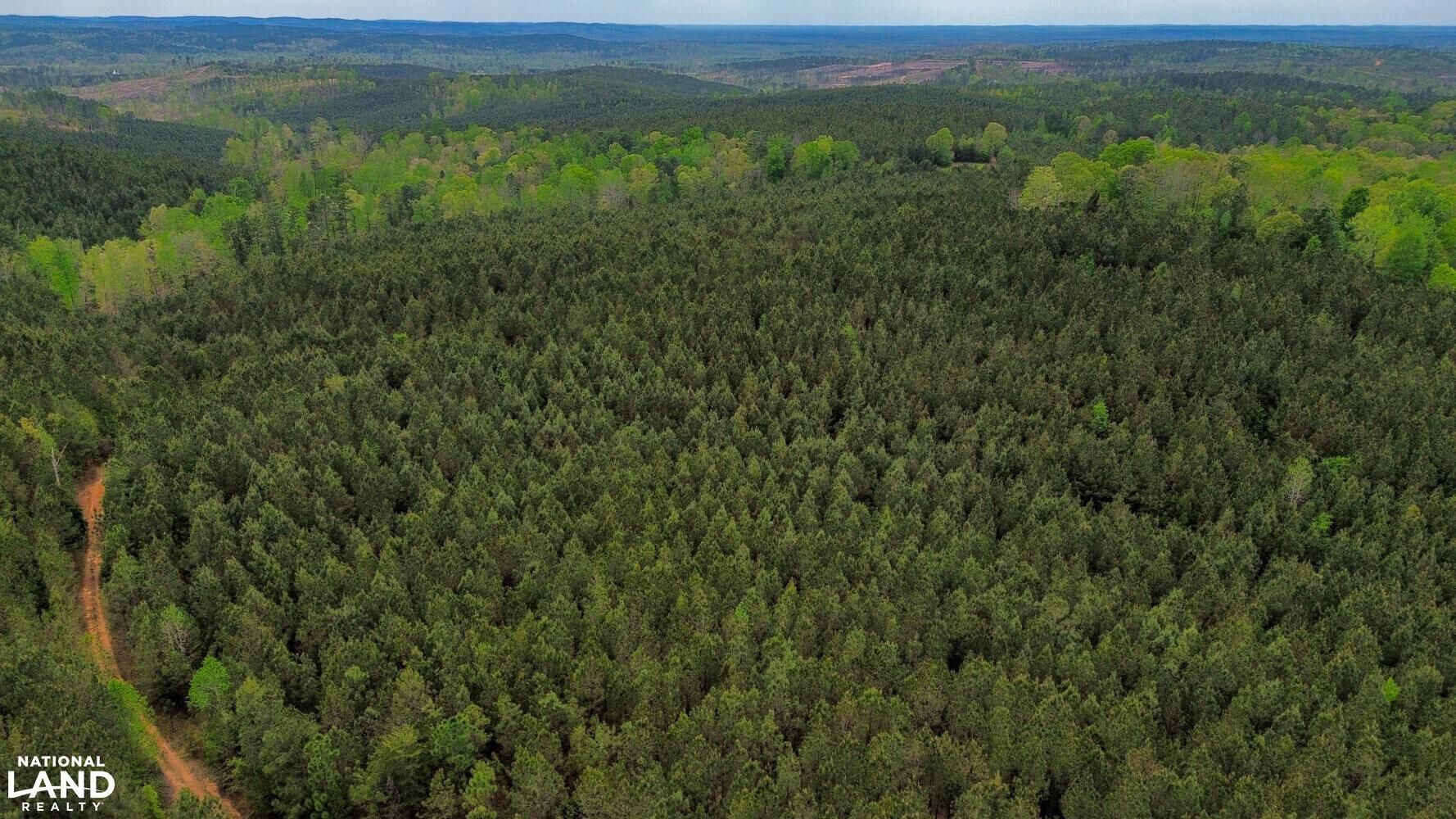 240 acres in Bibb County, Alabama