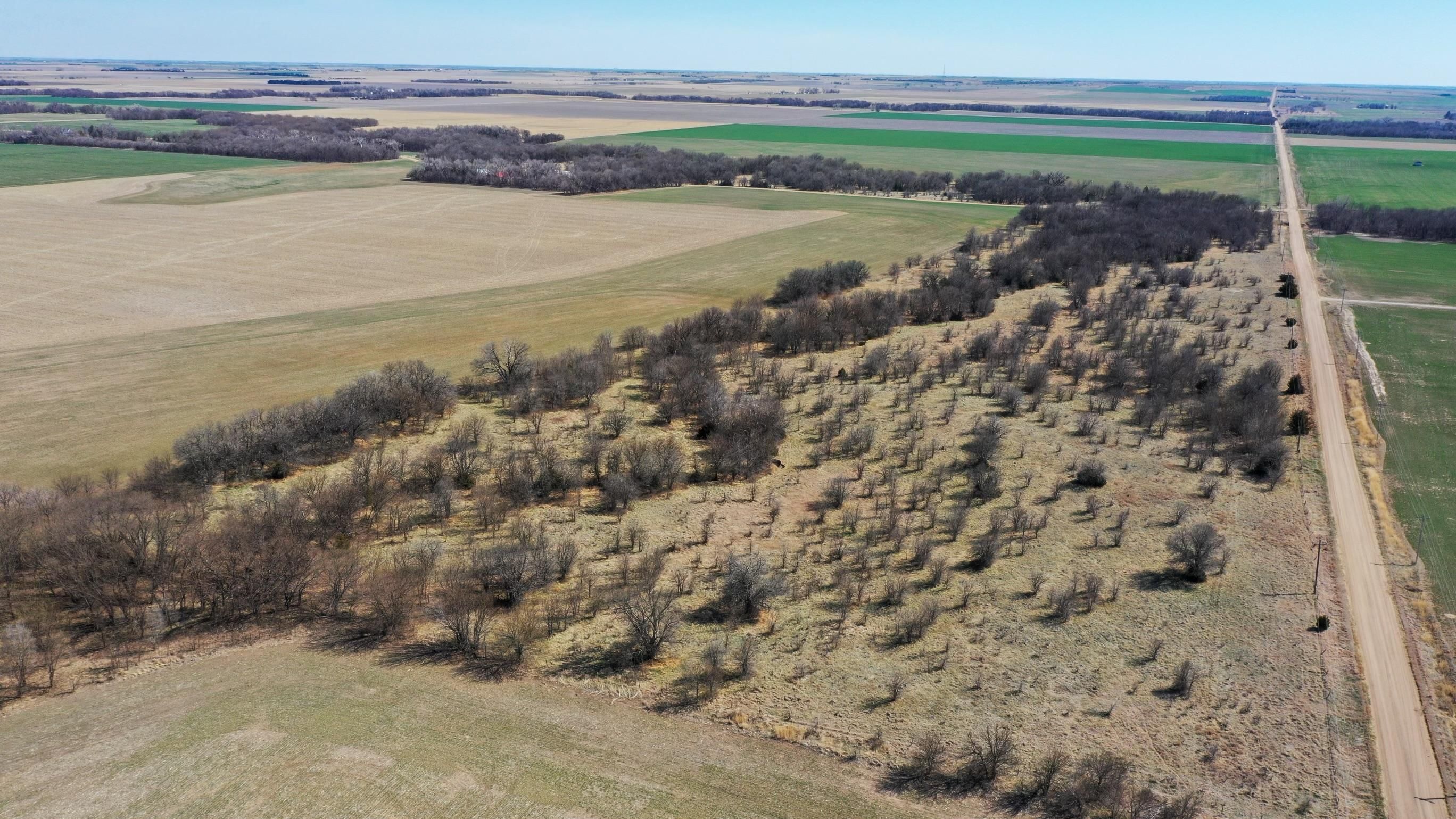 138 acres in Rush County, Kansas