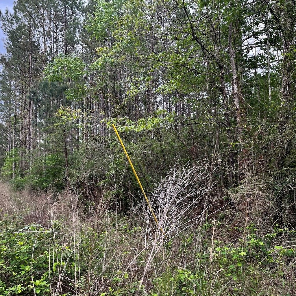 7 acres in Pike County, Mississippi