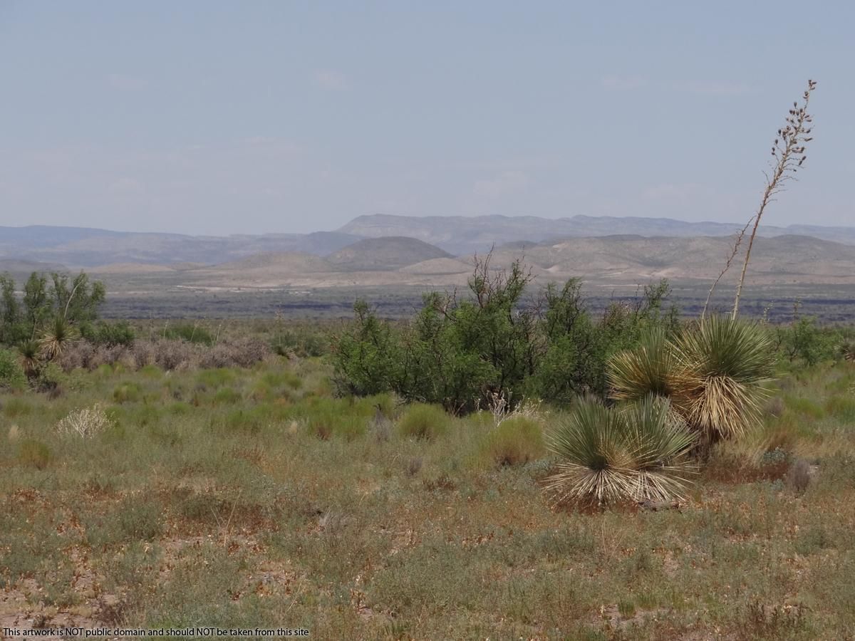 160 acres in Lincoln County, New Mexico