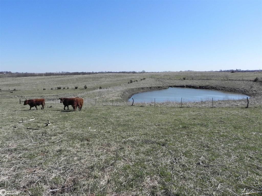 116 acres in Taylor County, Iowa