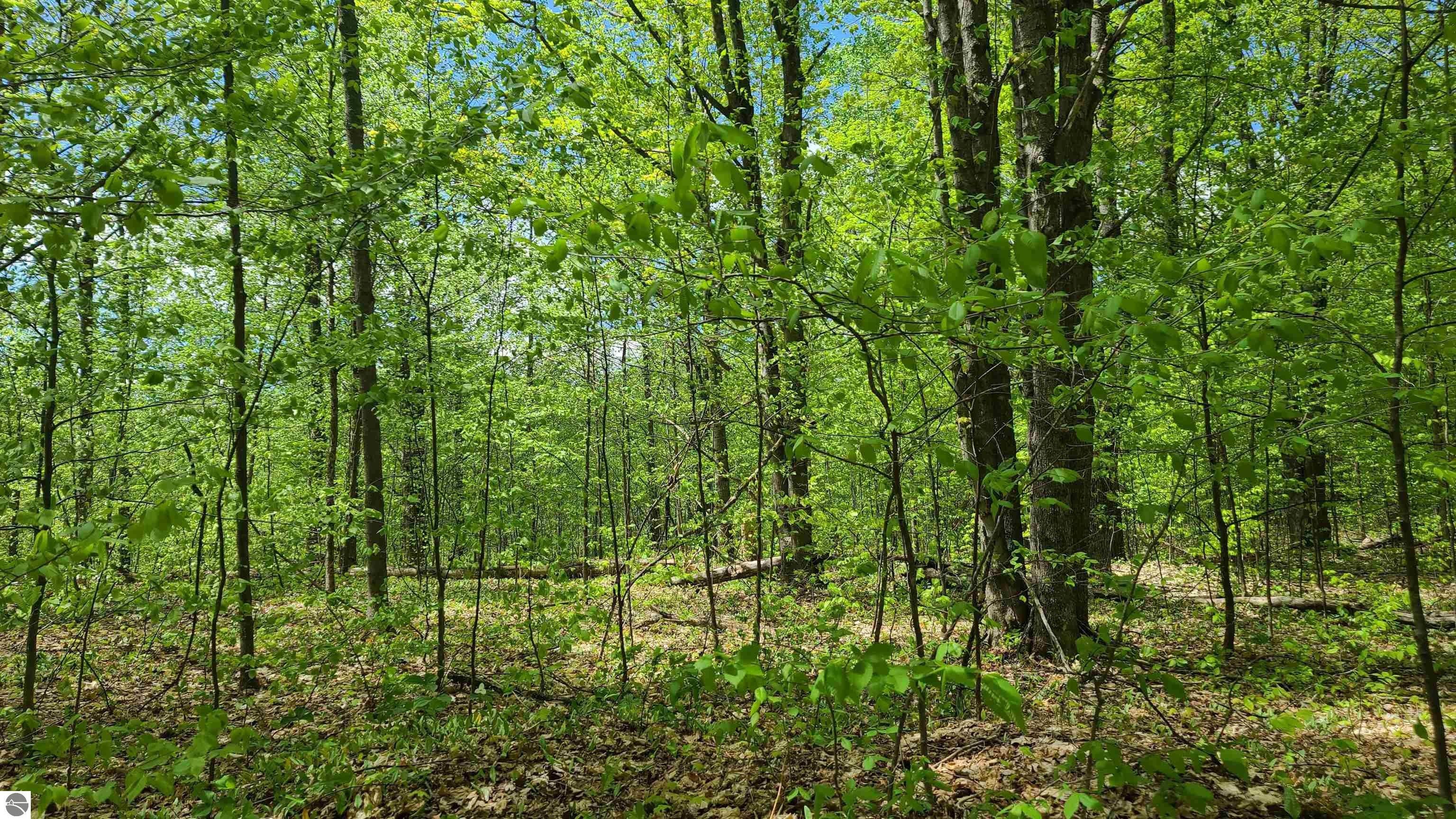 Vacant Lot/Land Mancelona, MI