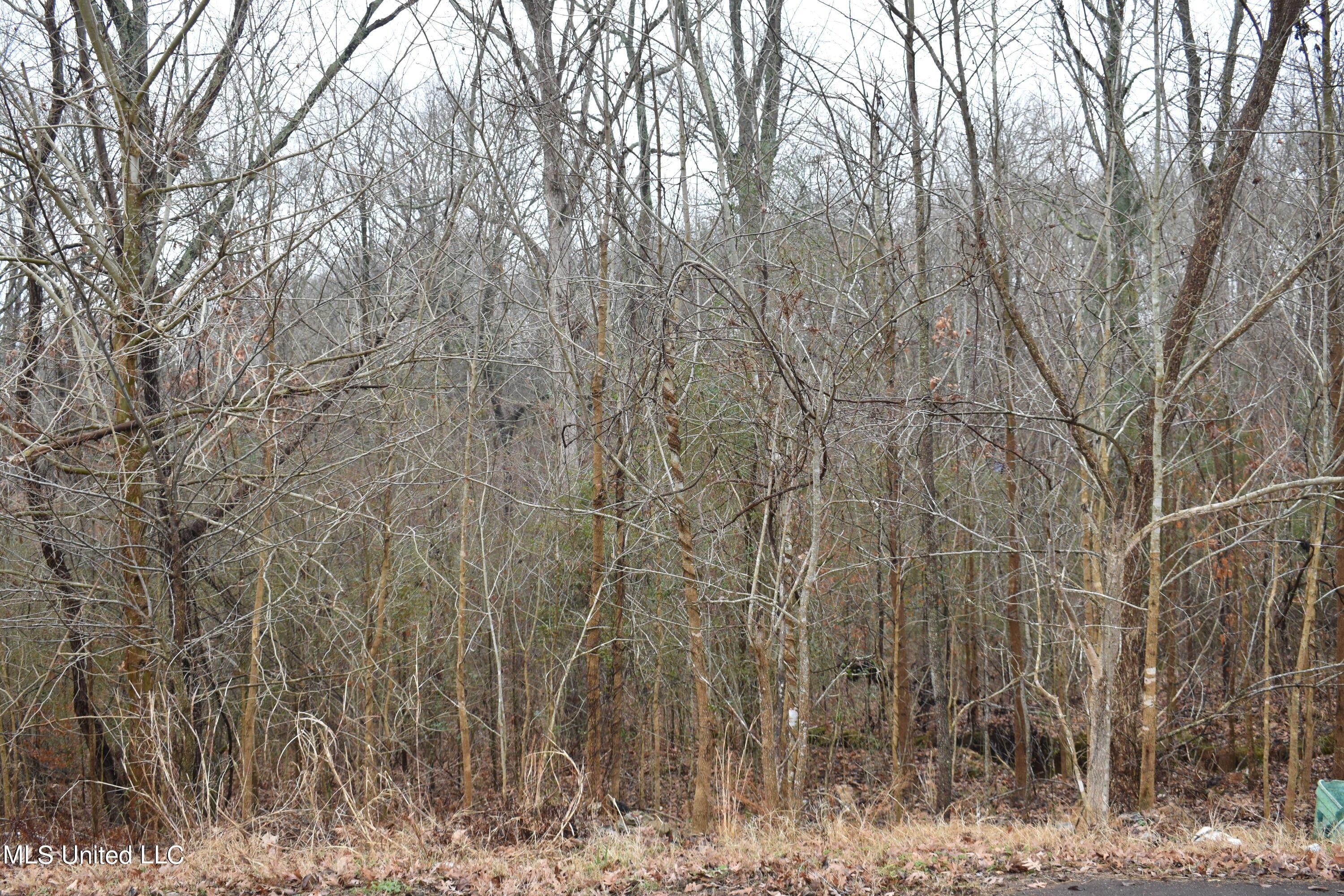 2.1 acres in Tate County, Mississippi