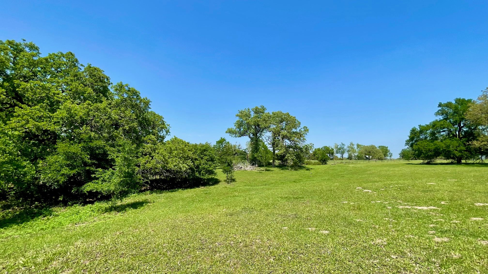 14.5 acres in Falls County, Texas