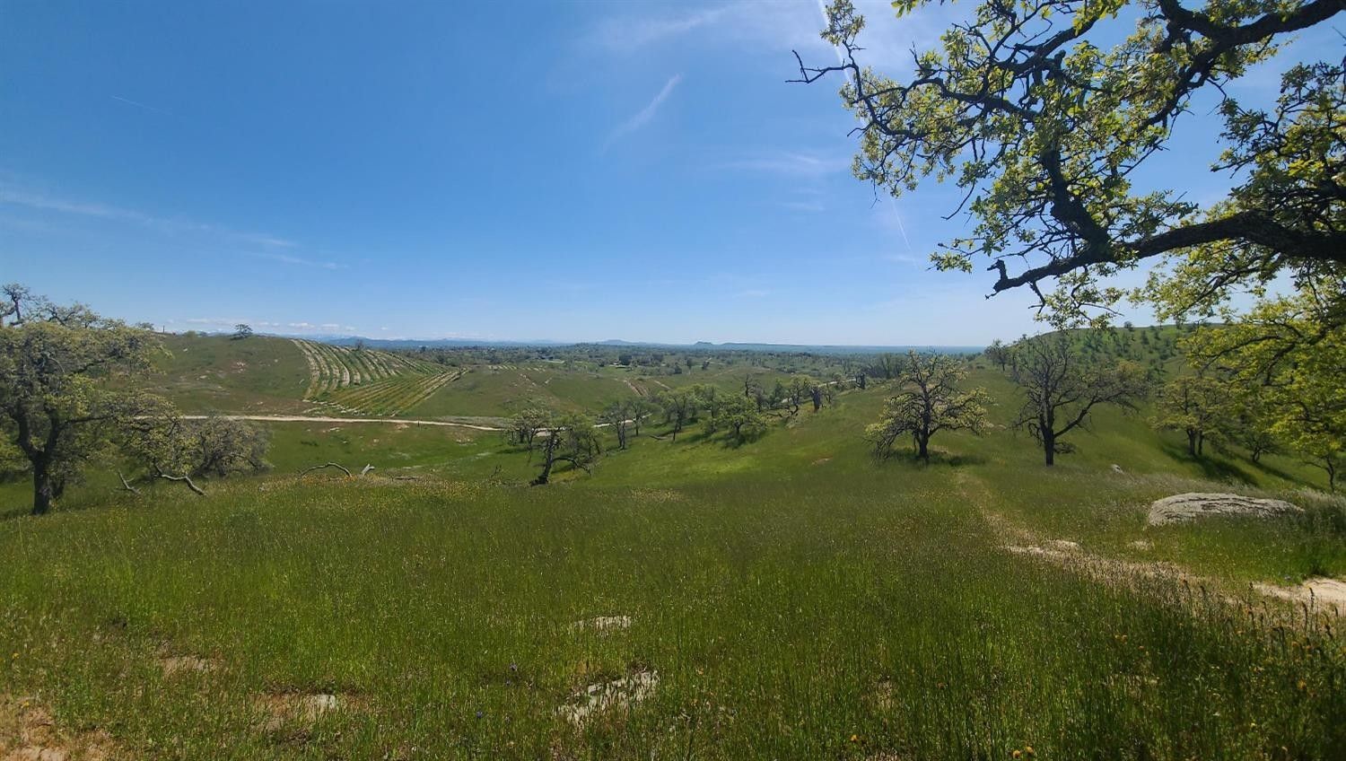 39.3 acres in Madera County, California