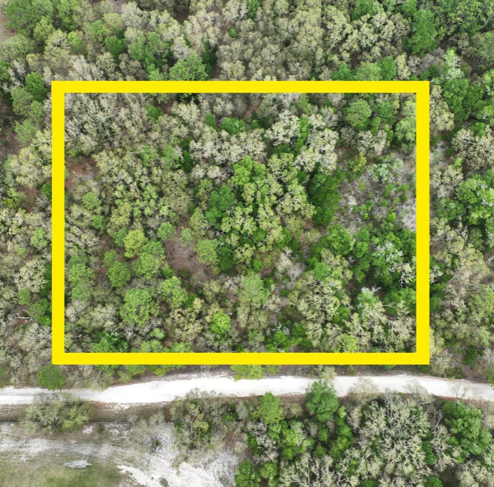 2.5 acres in Levy County, Florida