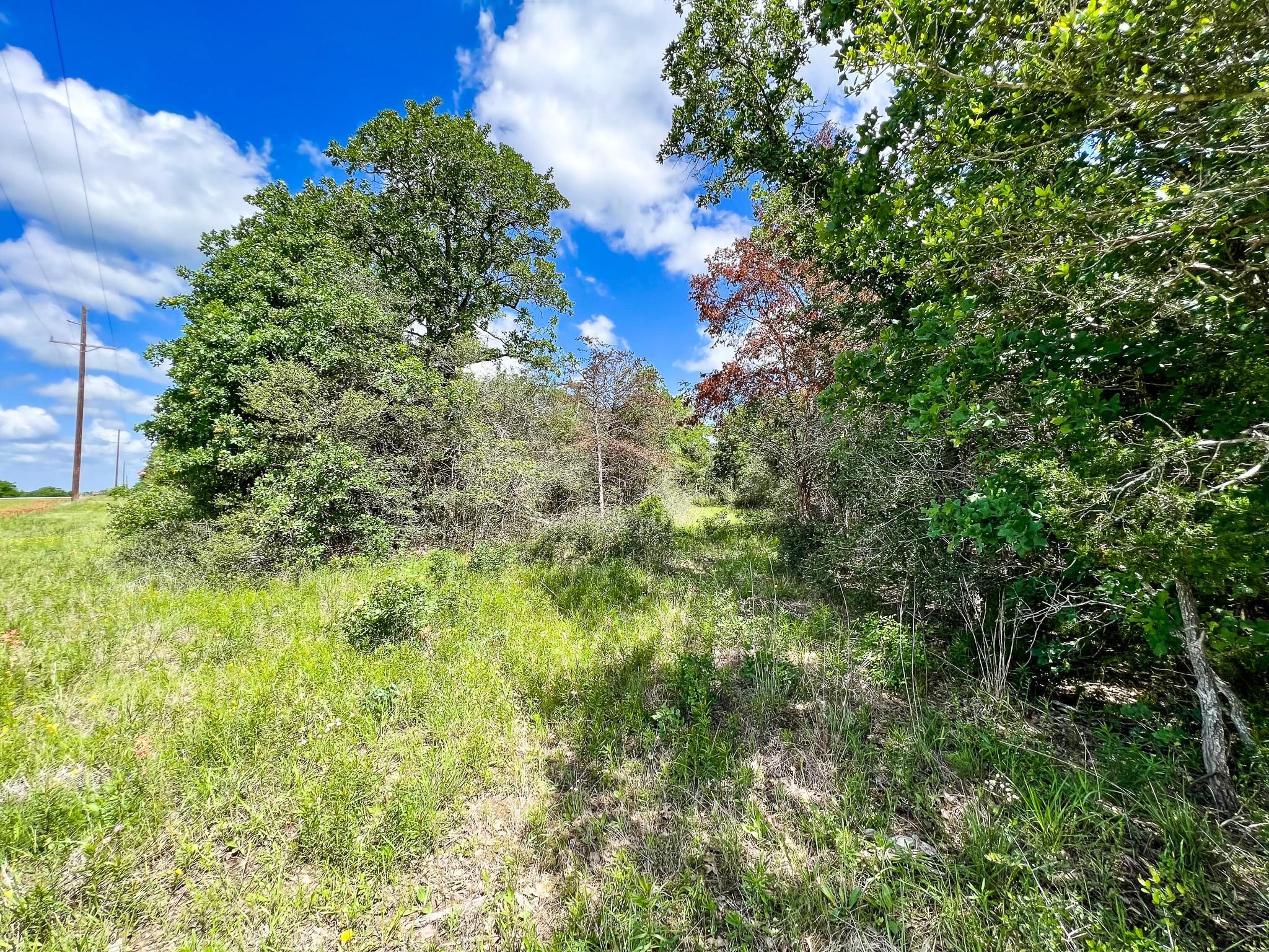 2.88 acres in Grimes County, Texas