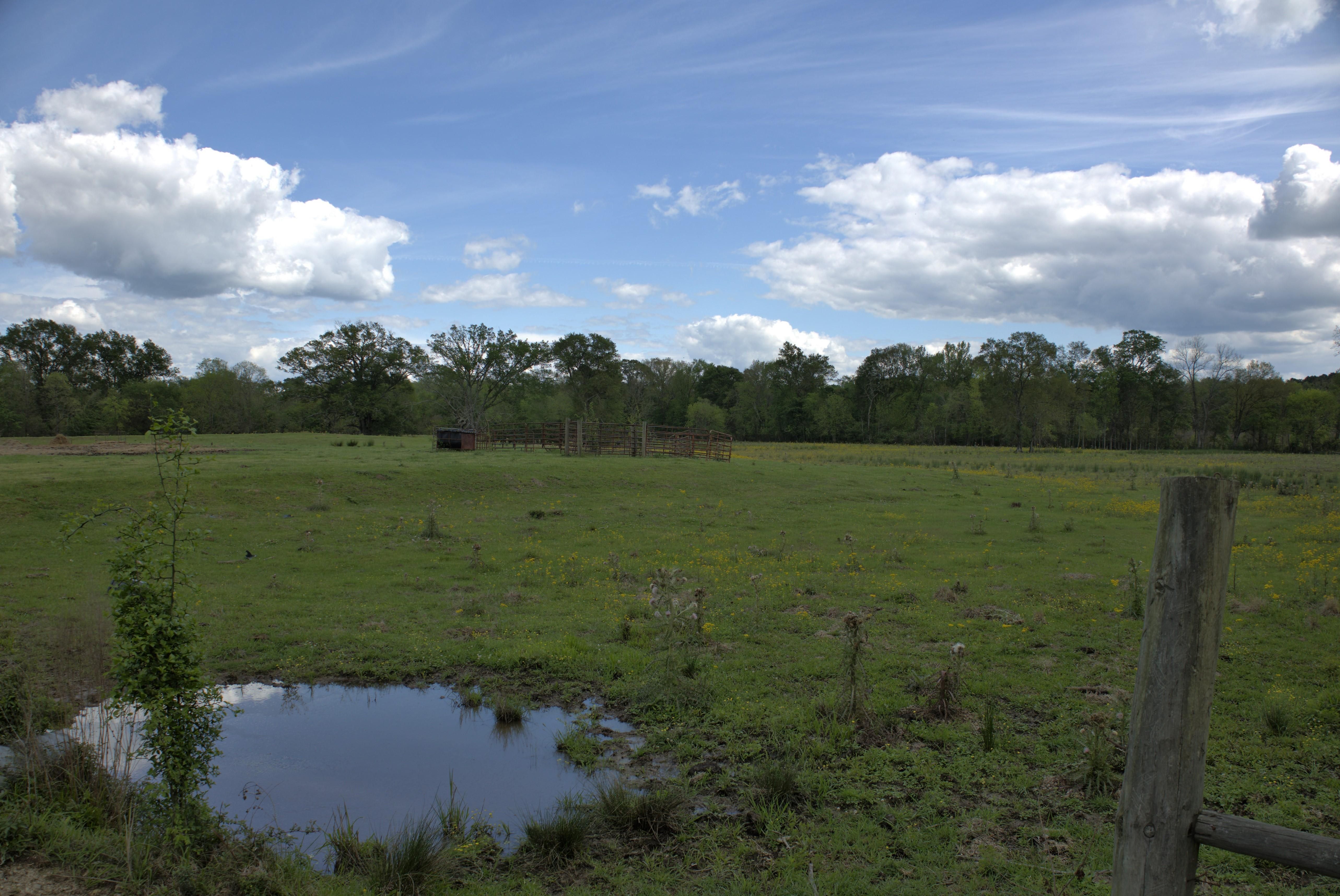 60 acres in Nacogdoches County, Texas