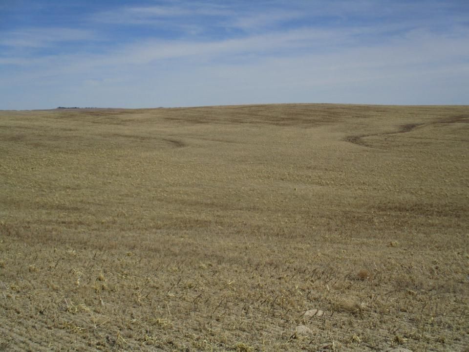 159 acres in County, South Dakota