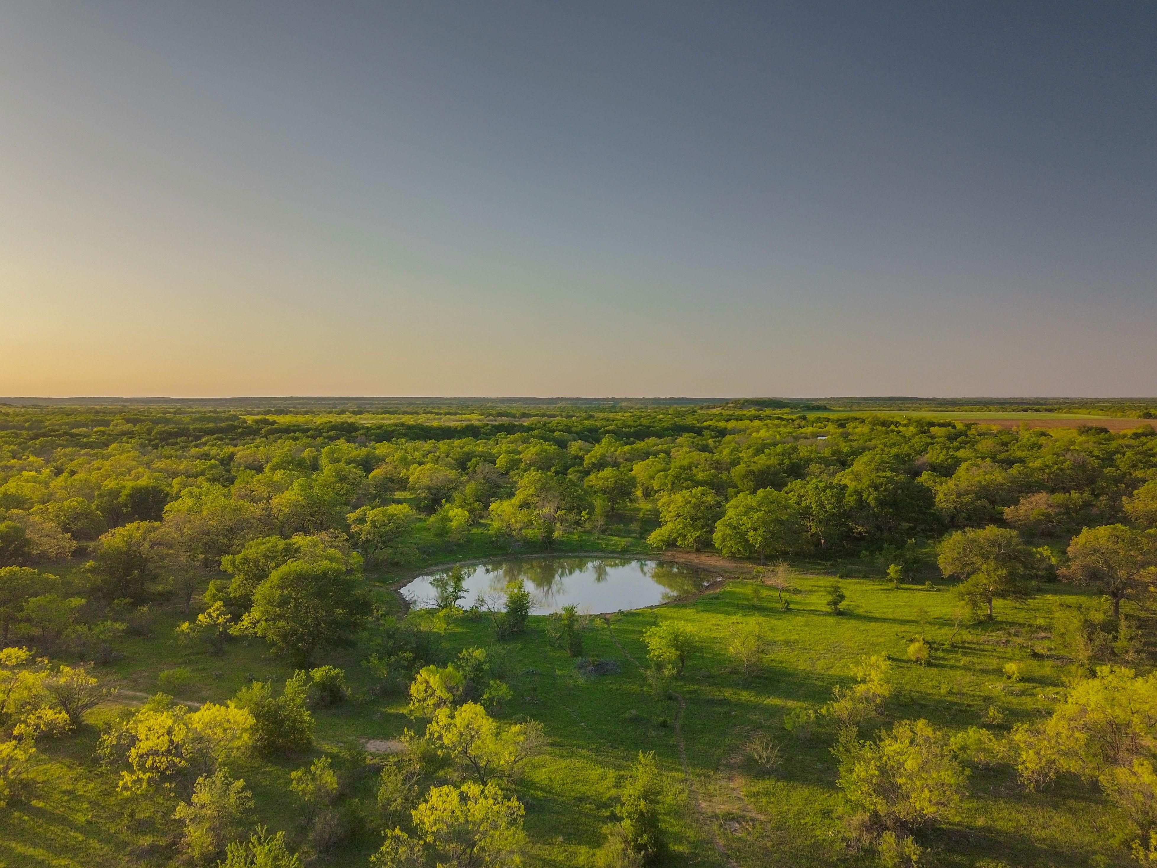 The Hidden Potential Of Vinelink Texas - slbc29g