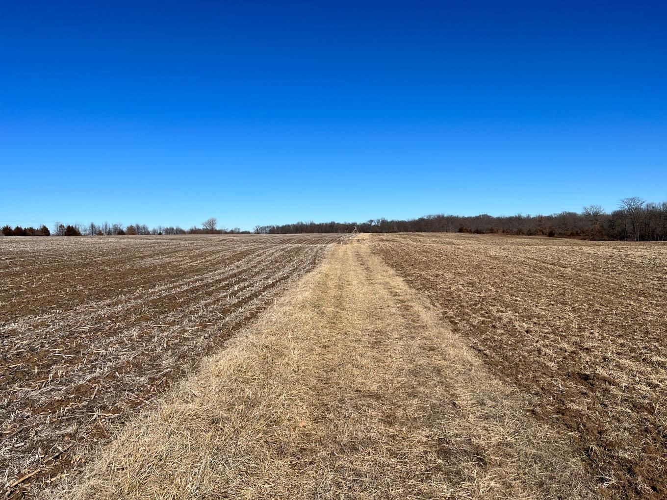 83 acres in Adams County, Illinois