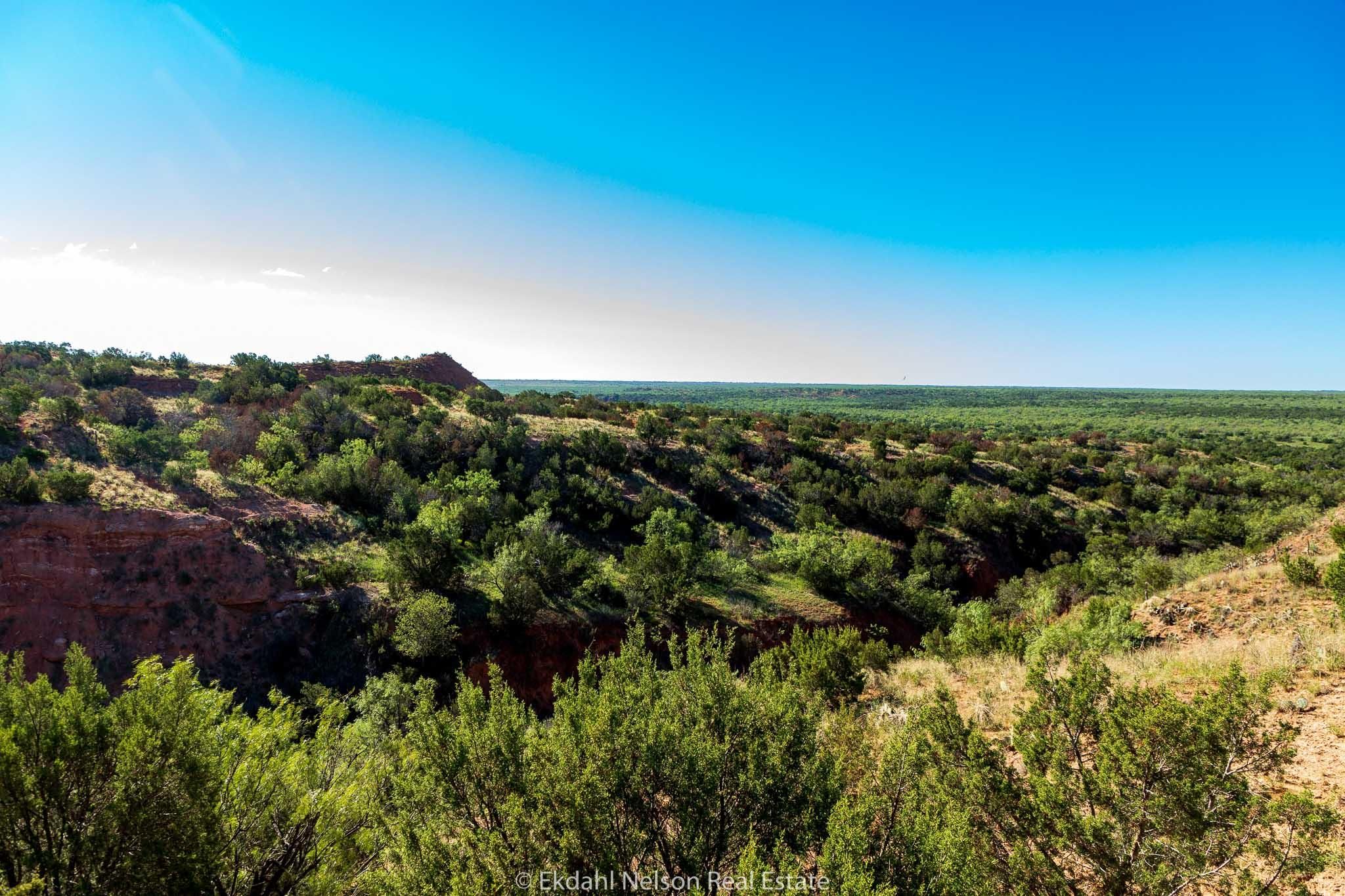 1,725 acres in Motley County, Texas