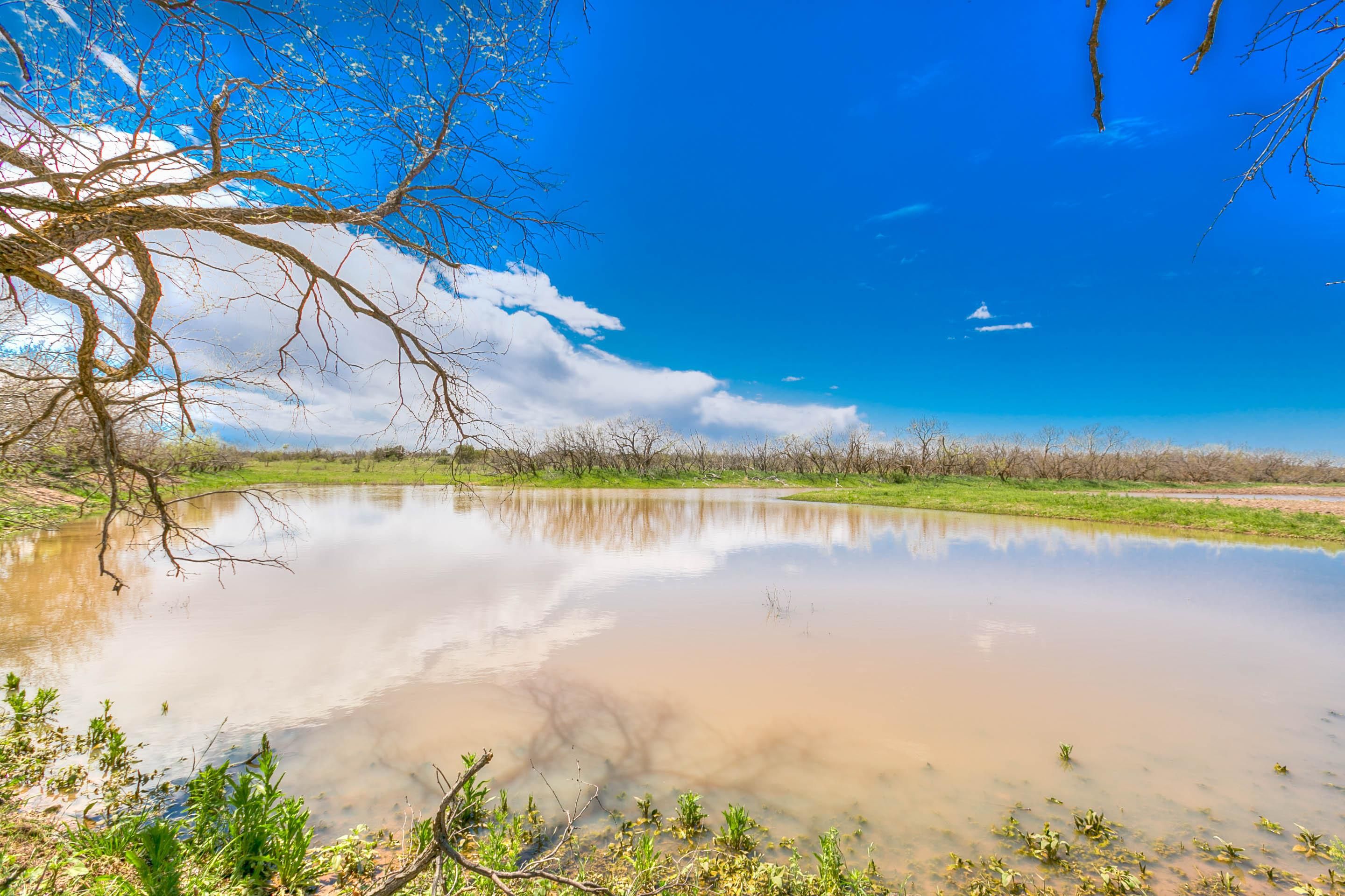 263 acres in Ballinger, TX, 76821 MLS 112630