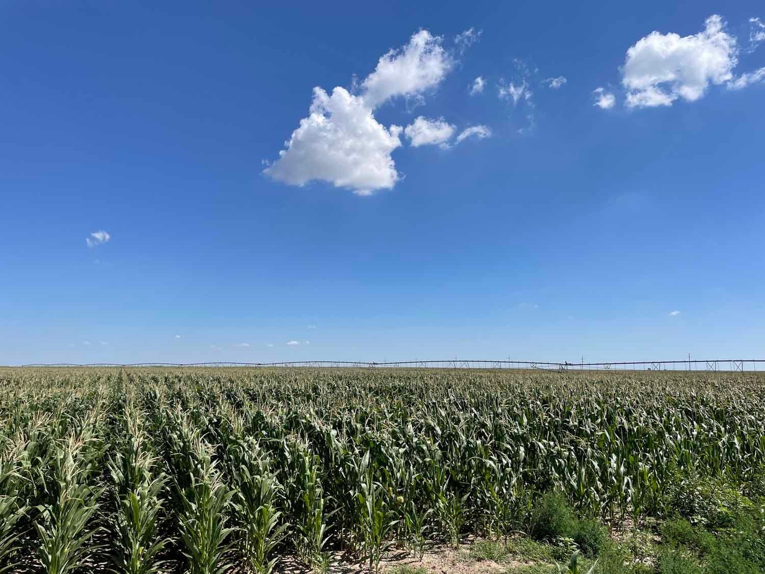 640 acres in Sherman County, Texas