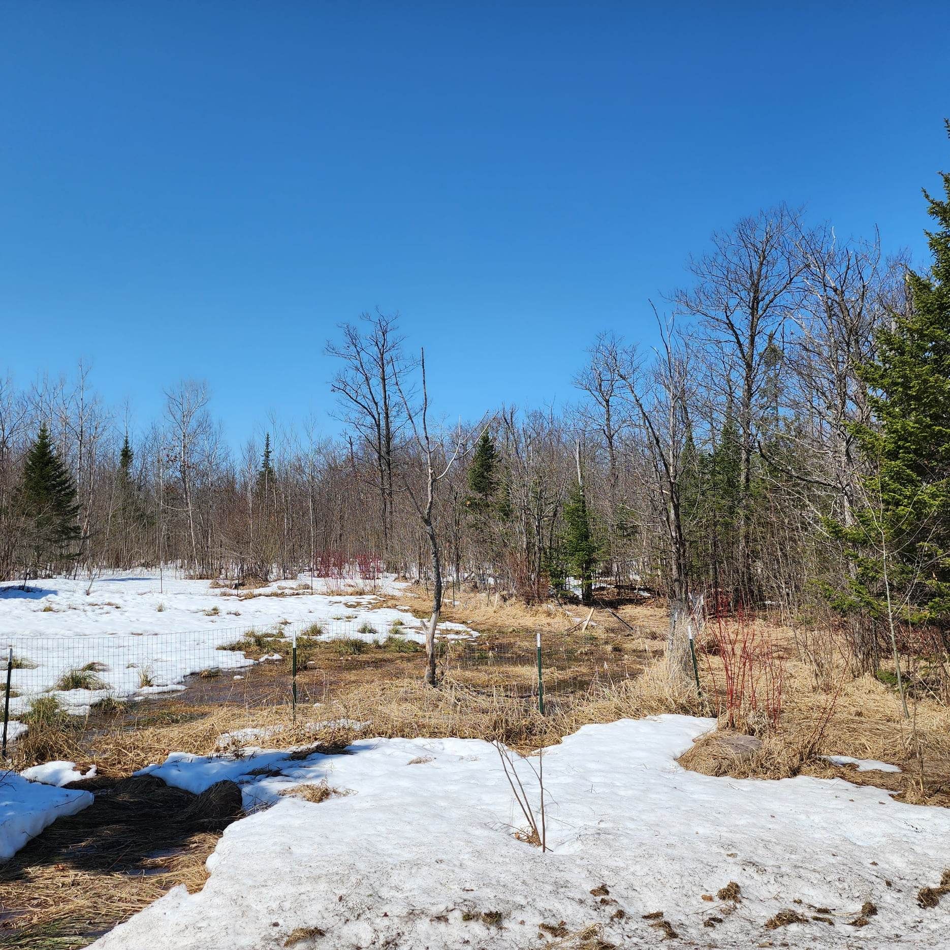 13.33 acres in Chippewa County, Michigan