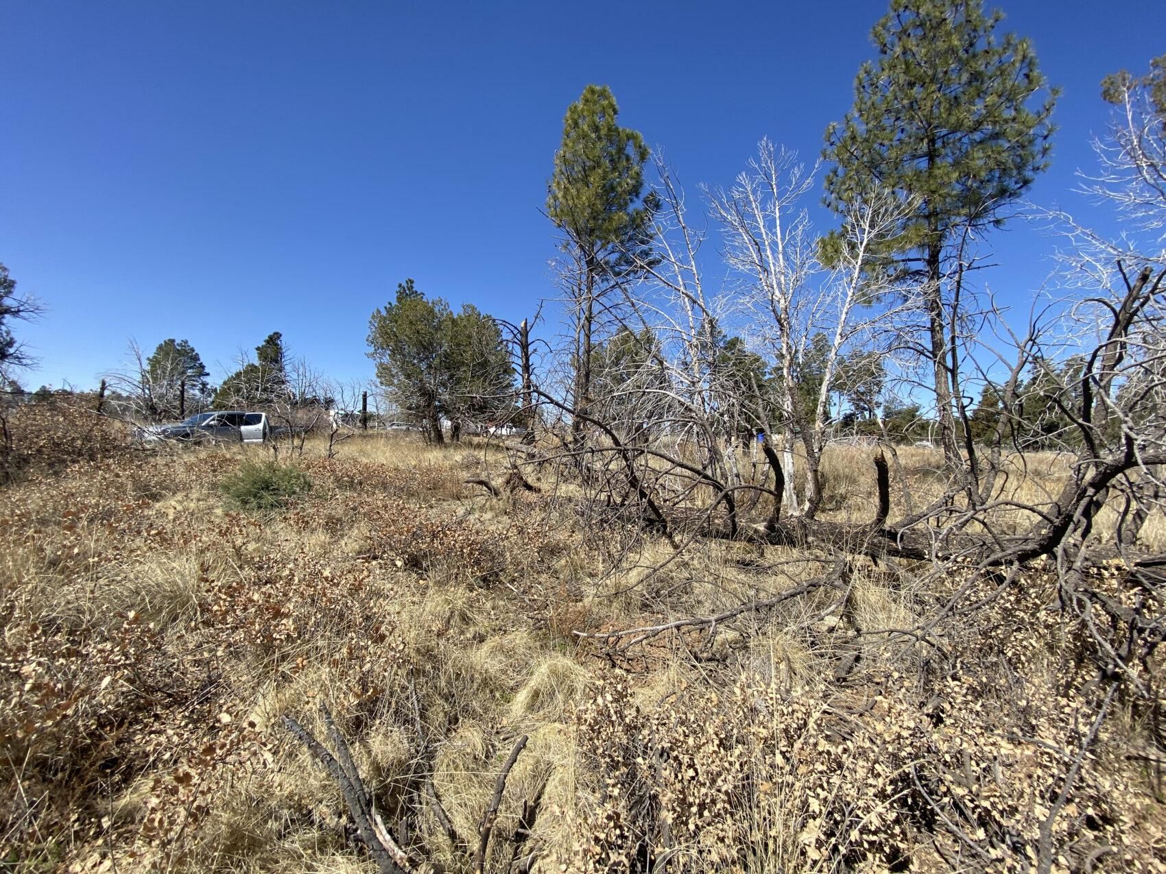 0.5 acres in Otero County, New Mexico